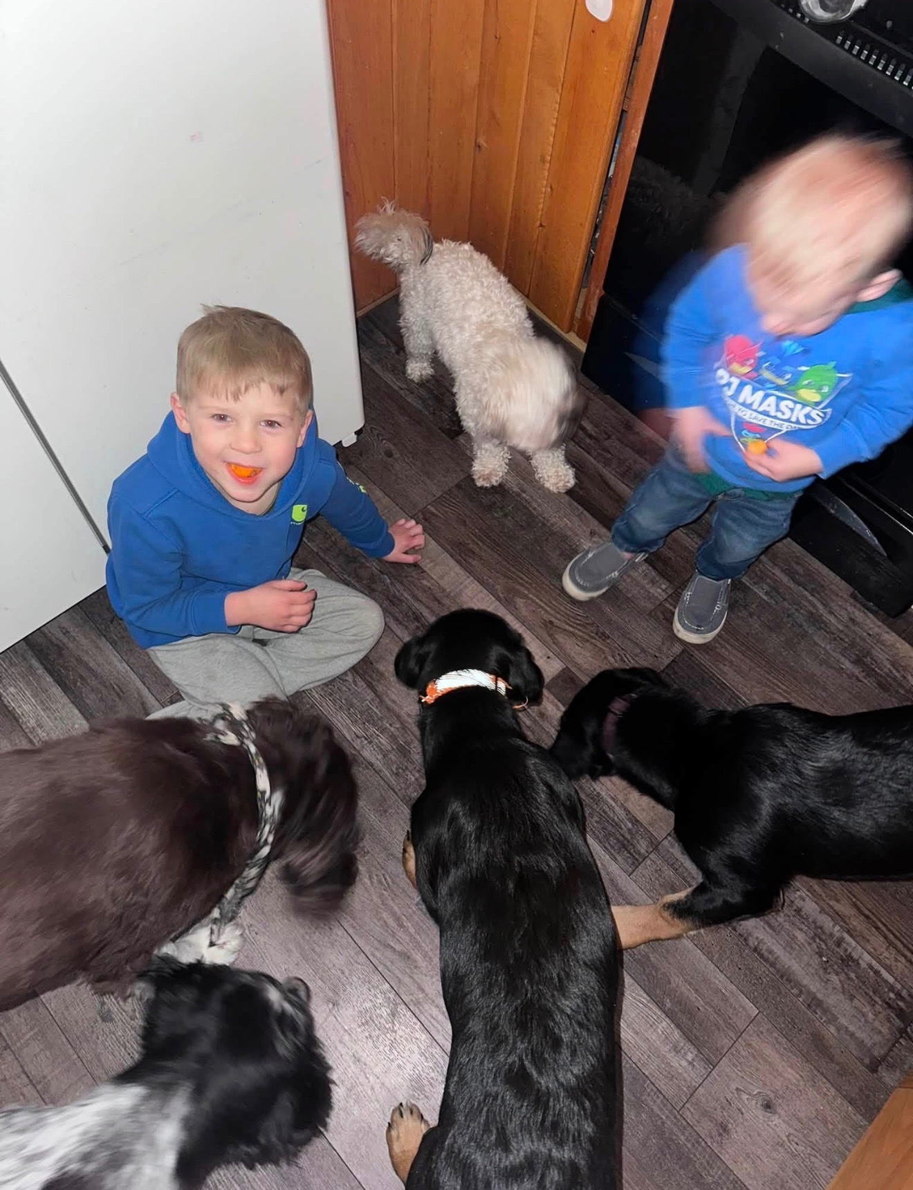 Help the Vuk Family Rebuild After House Fire campaign photo, 6 of 7