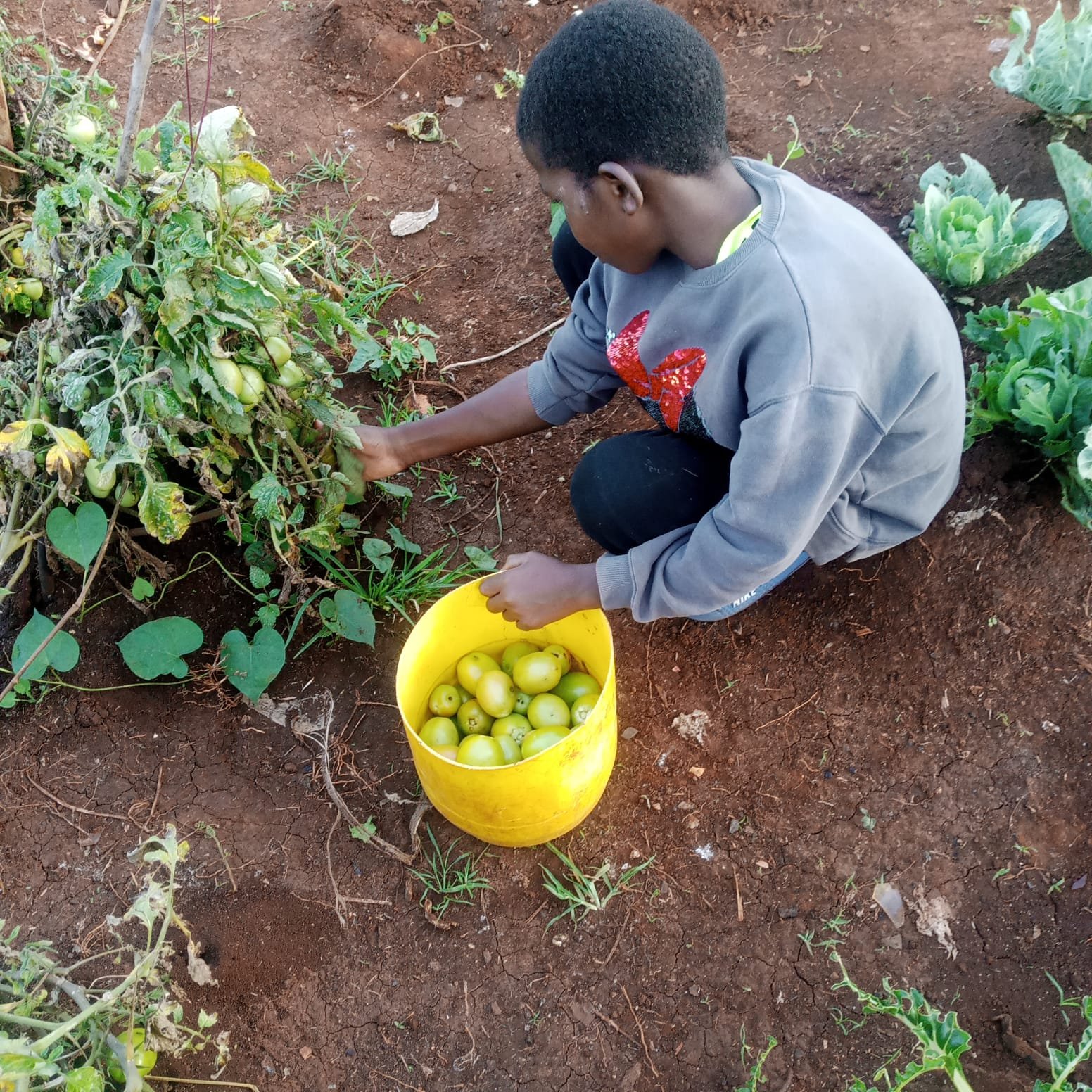 Grow Community: Help build a School Farm in Homa Bay, Kenya campaign photo, 7 of 7