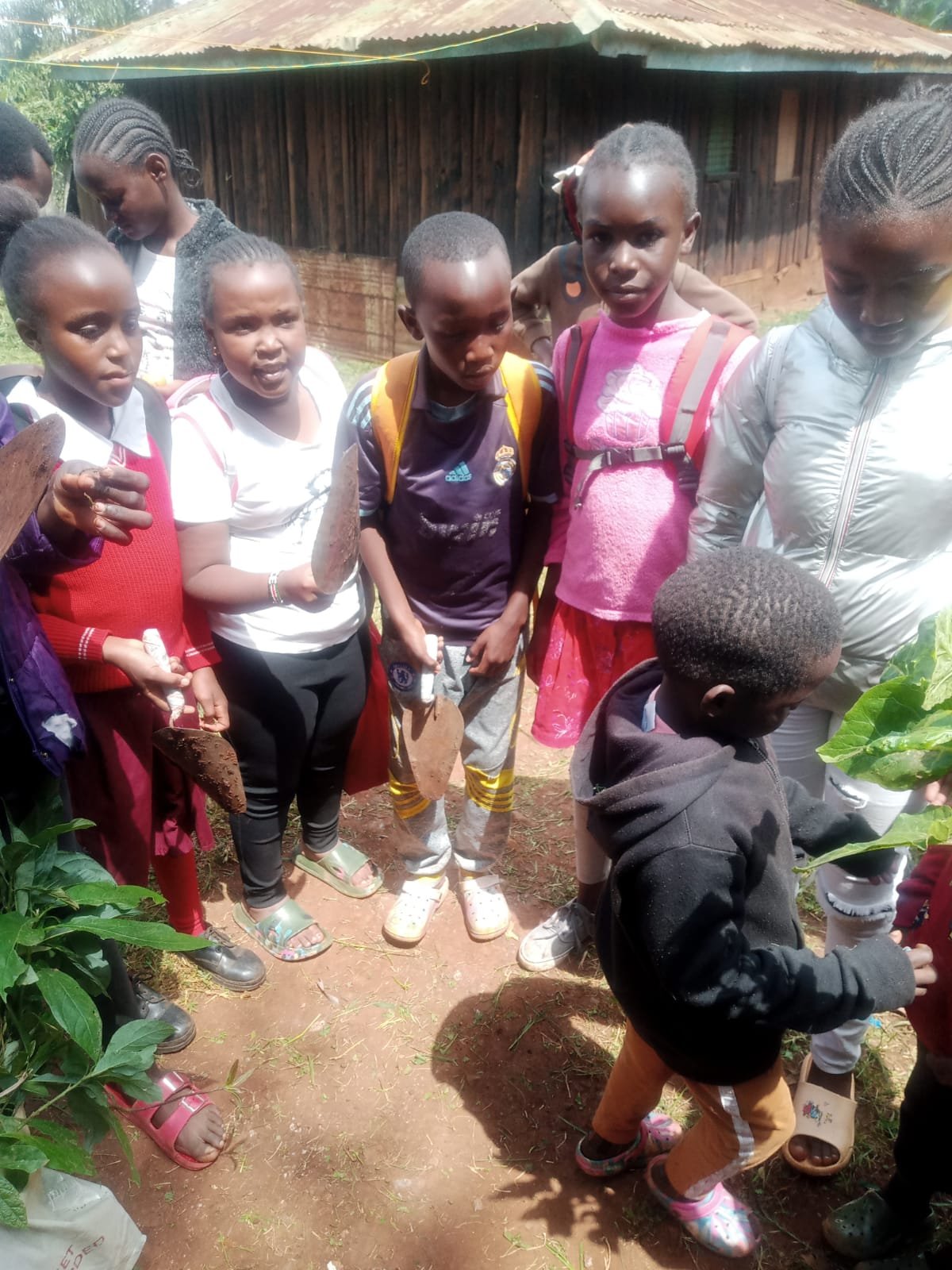 Grow Community: Help build a School Farm in Homa Bay, Kenya campaign photo, 2 of 7