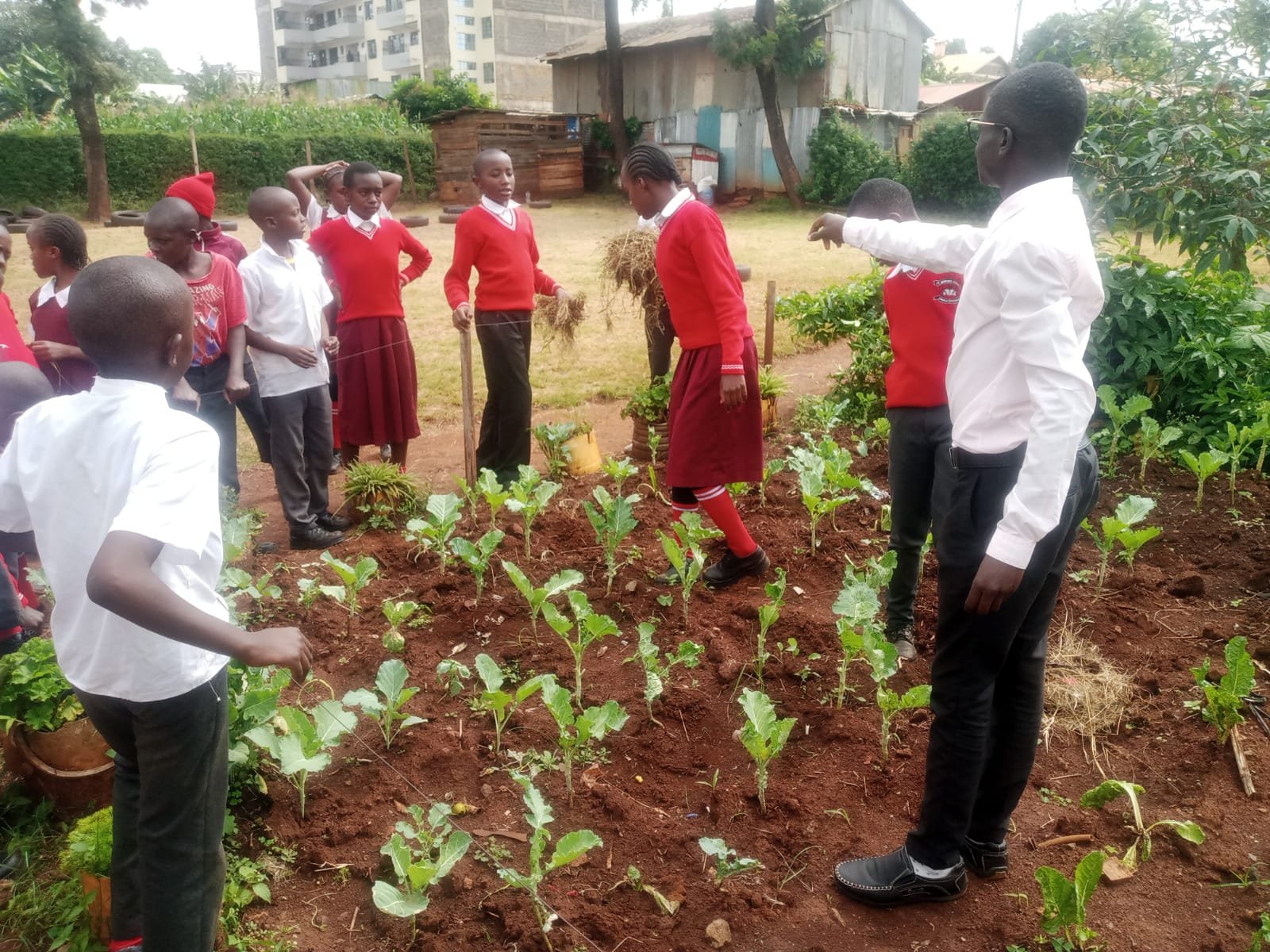 Grow Community: Help build a School Farm in Homa Bay, Kenya campaign photo, 5 of 7
