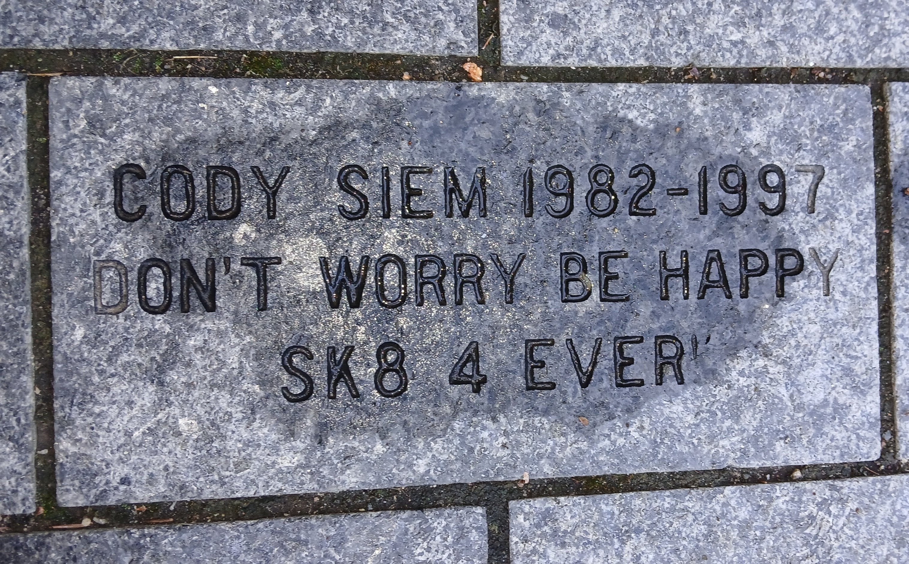 Cody Siem Skatepark Relief Fund campaign photo, 2 of 5