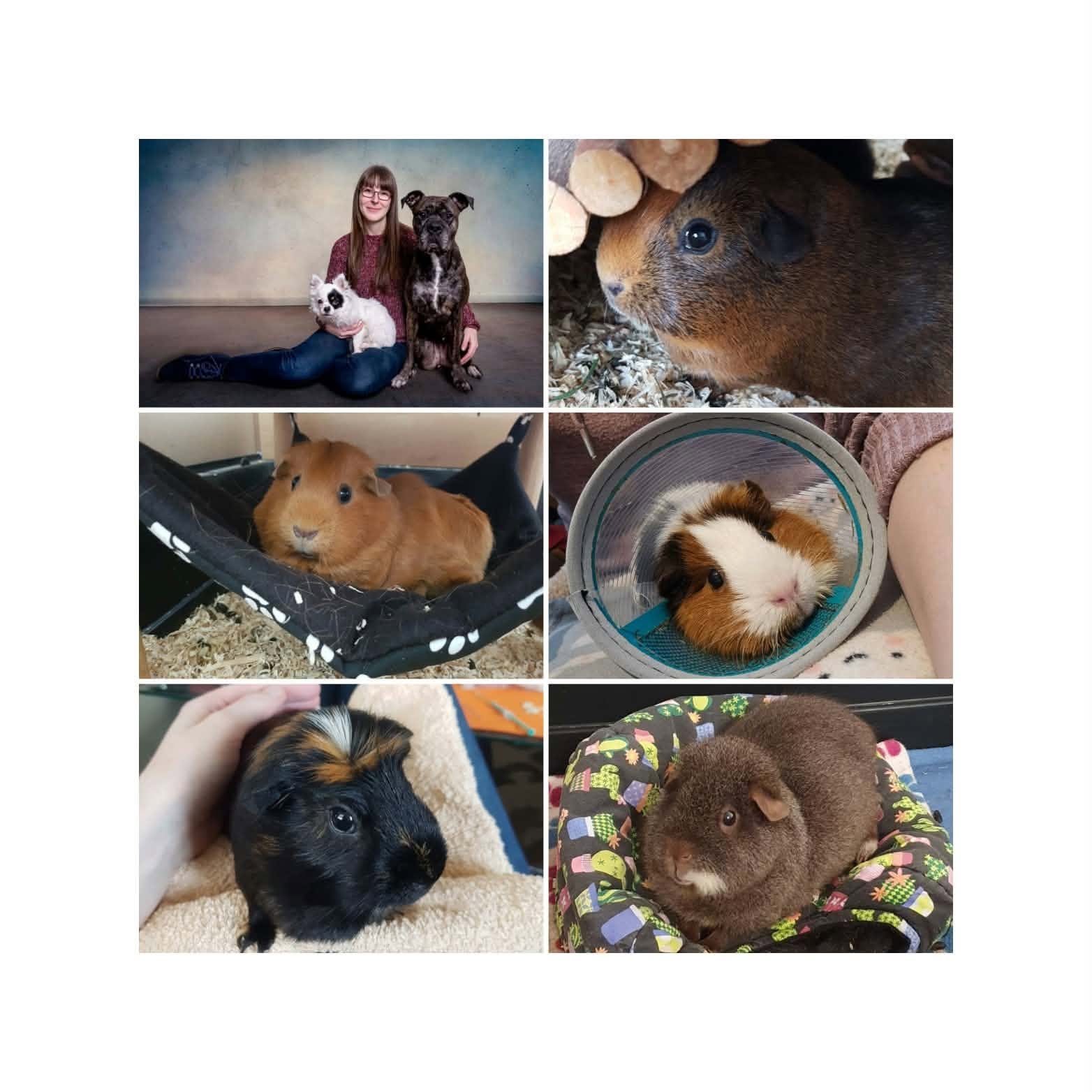 Ich schaffe es einfach nicht mehr alleine und brauche Hilfe campaign photo, 7 of 8