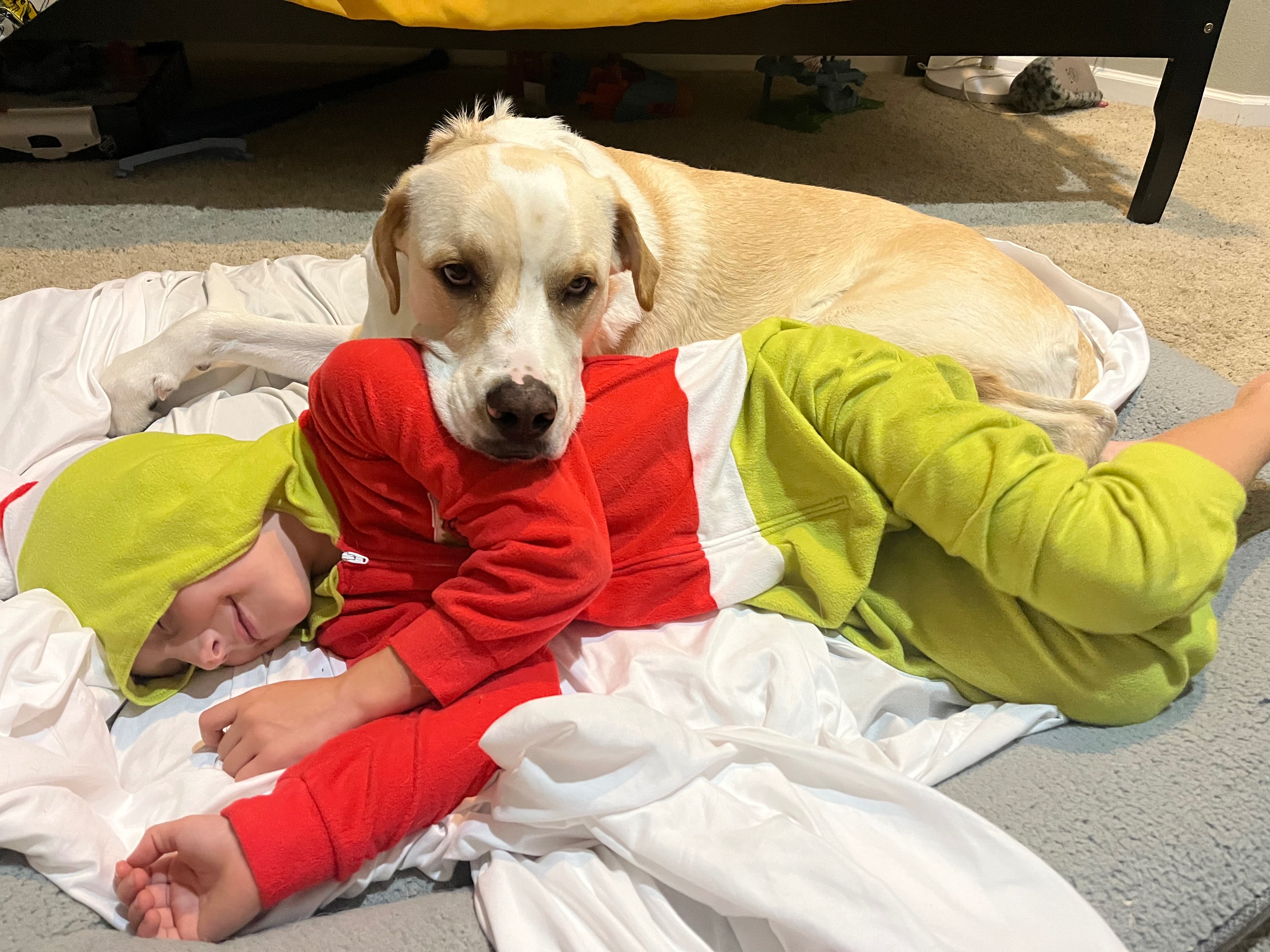 Help Sammy Keep Rolling: Join Roan's Mission campaign photo, 7 of 8