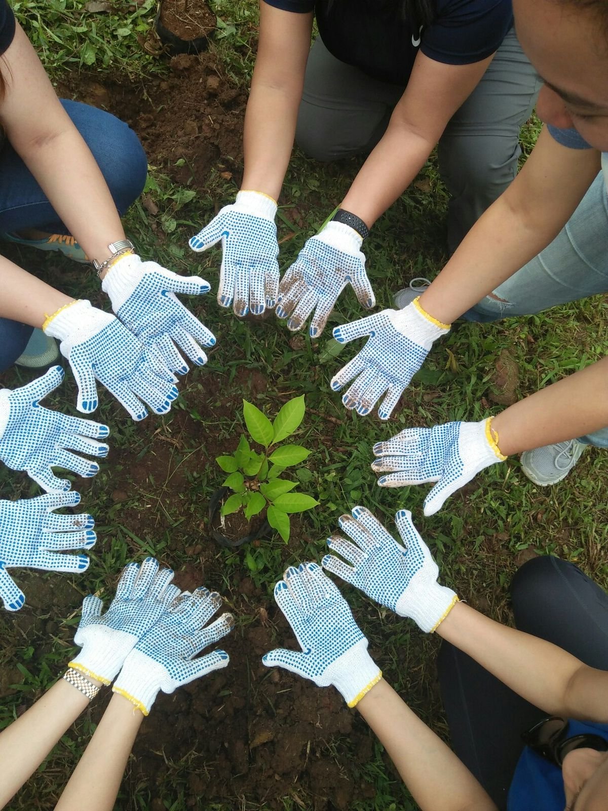Plant Trees for Kids' Health in SF and LA campaign photo, 2 of 4