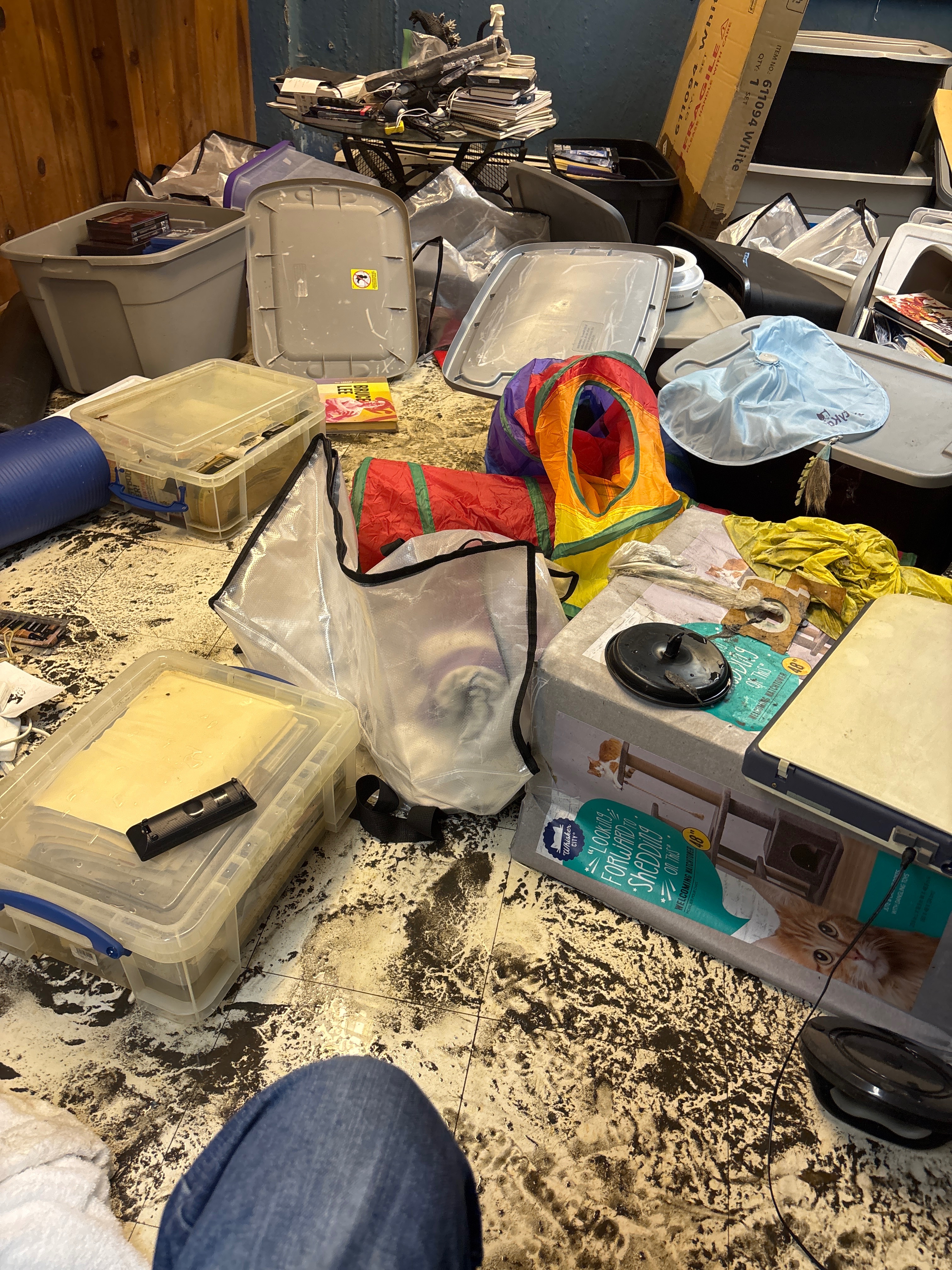Help Me Recover from Basement Flood campaign photo, 7 of 8