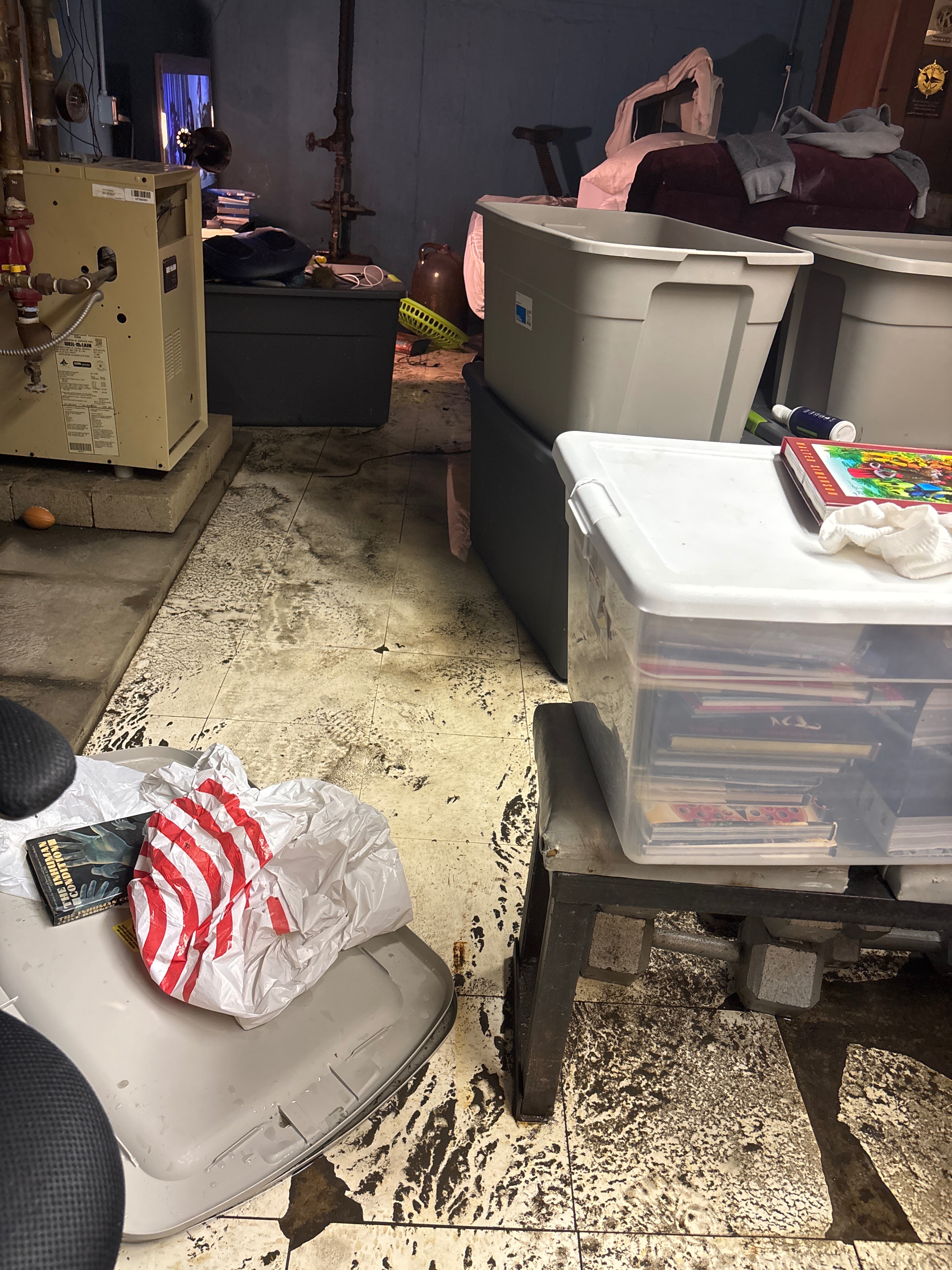 Help Me Recover from Basement Flood campaign photo, 5 of 8