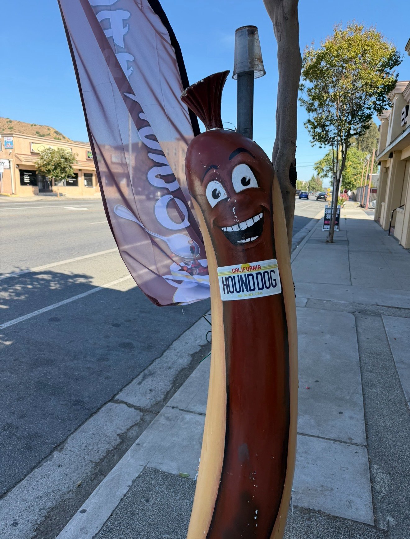 Help Keep The Hound Dog Hot Dog Shop Alive campaign photo, 4 of 5