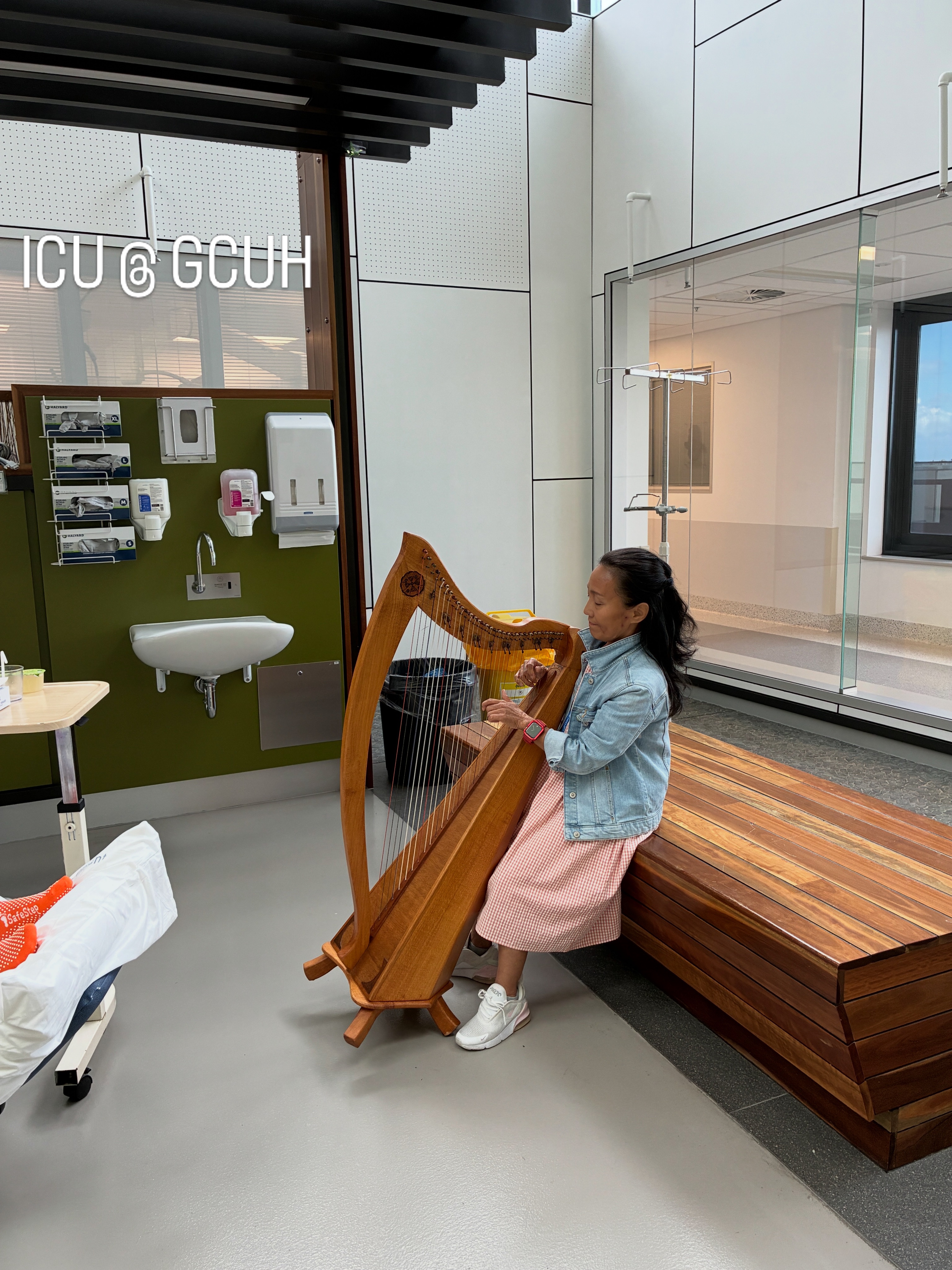 Warm harp tones for Hospital Patients:Help Us Bring Healing campaign photo, 2 of 8