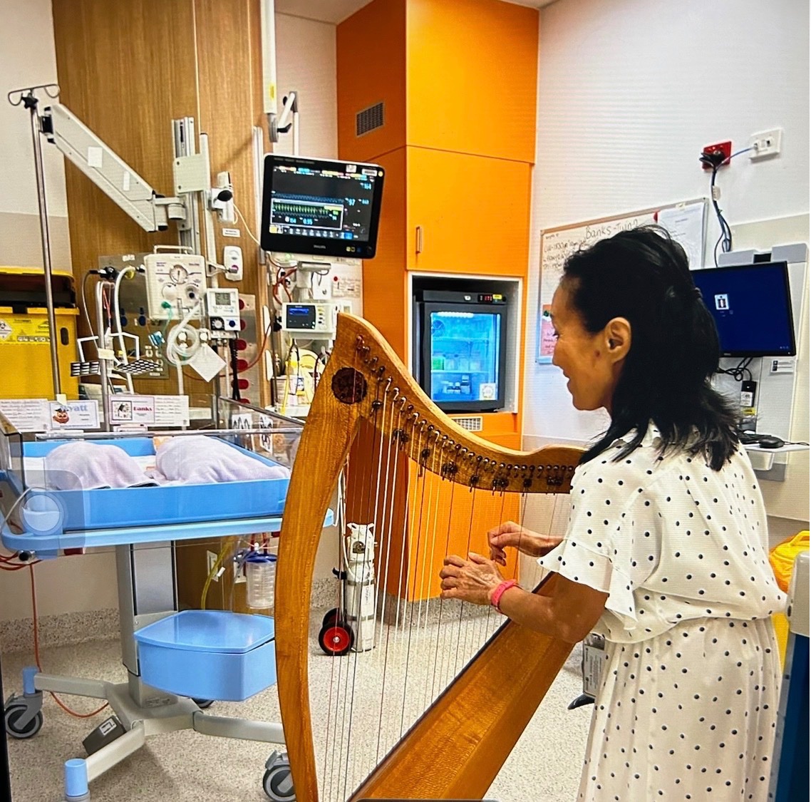 Warm harp tones for Hospital Patients:Help Us Bring Healing campaign photo, 4 of 8