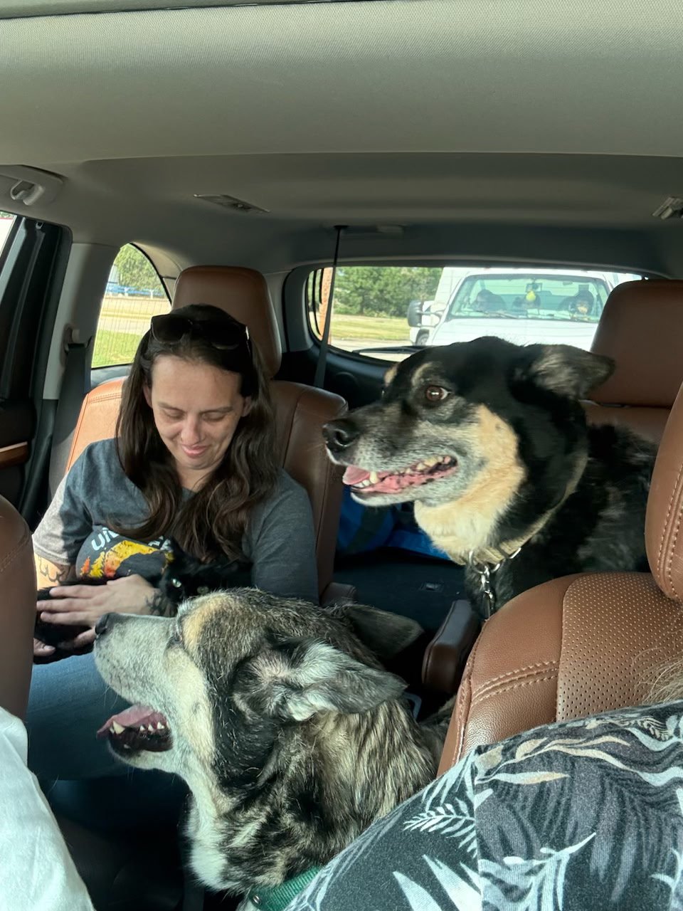 Tornado Disaster Relief Fund for Family of Four and 3 Pets campaign photo, 8 of 9