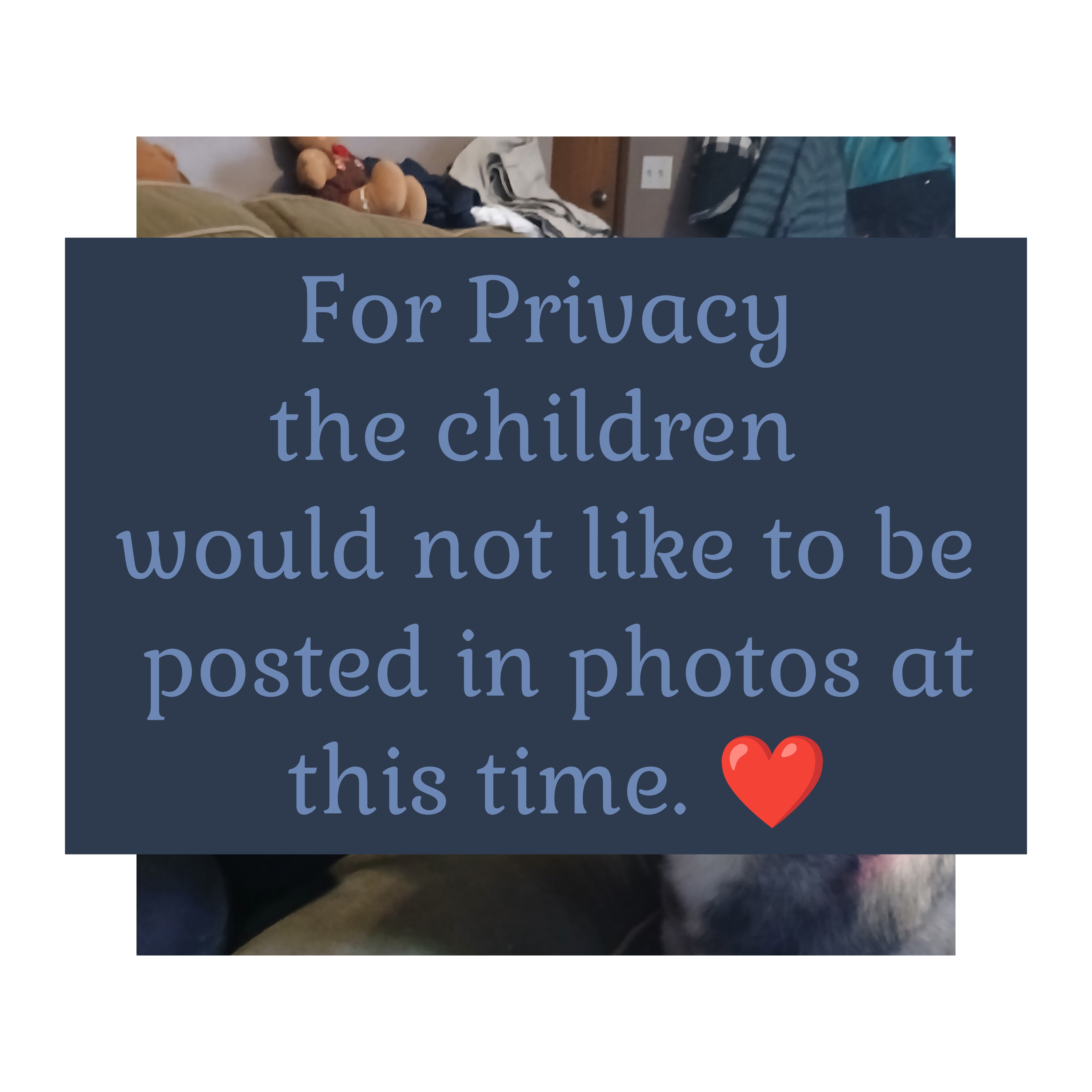 Tornado Disaster Relief Fund for Family of Four and 3 Pets campaign photo, 5 of 9