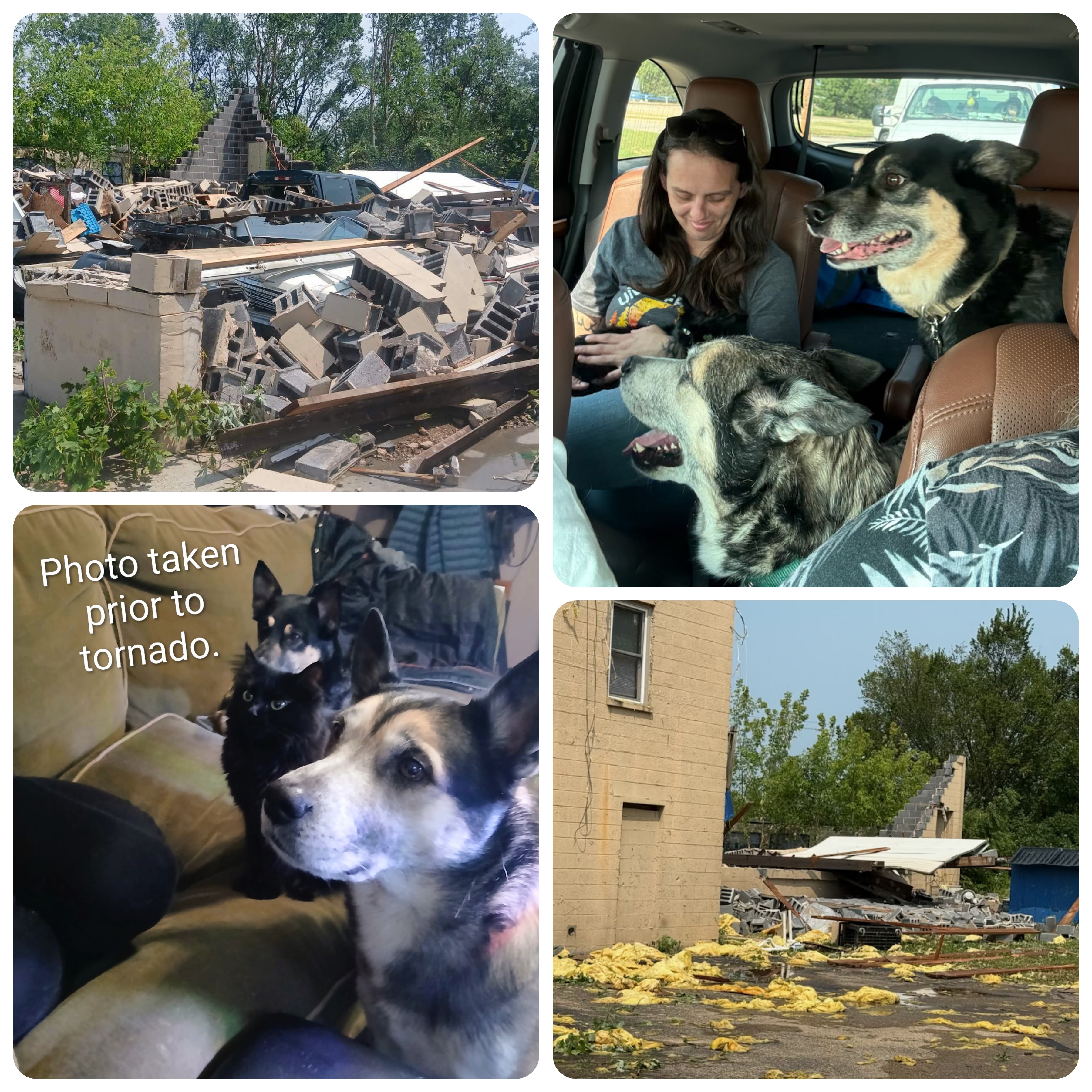 Tornado Disaster Relief Fund for Family of Four and 3 Pets campaign photo, 6 of 9