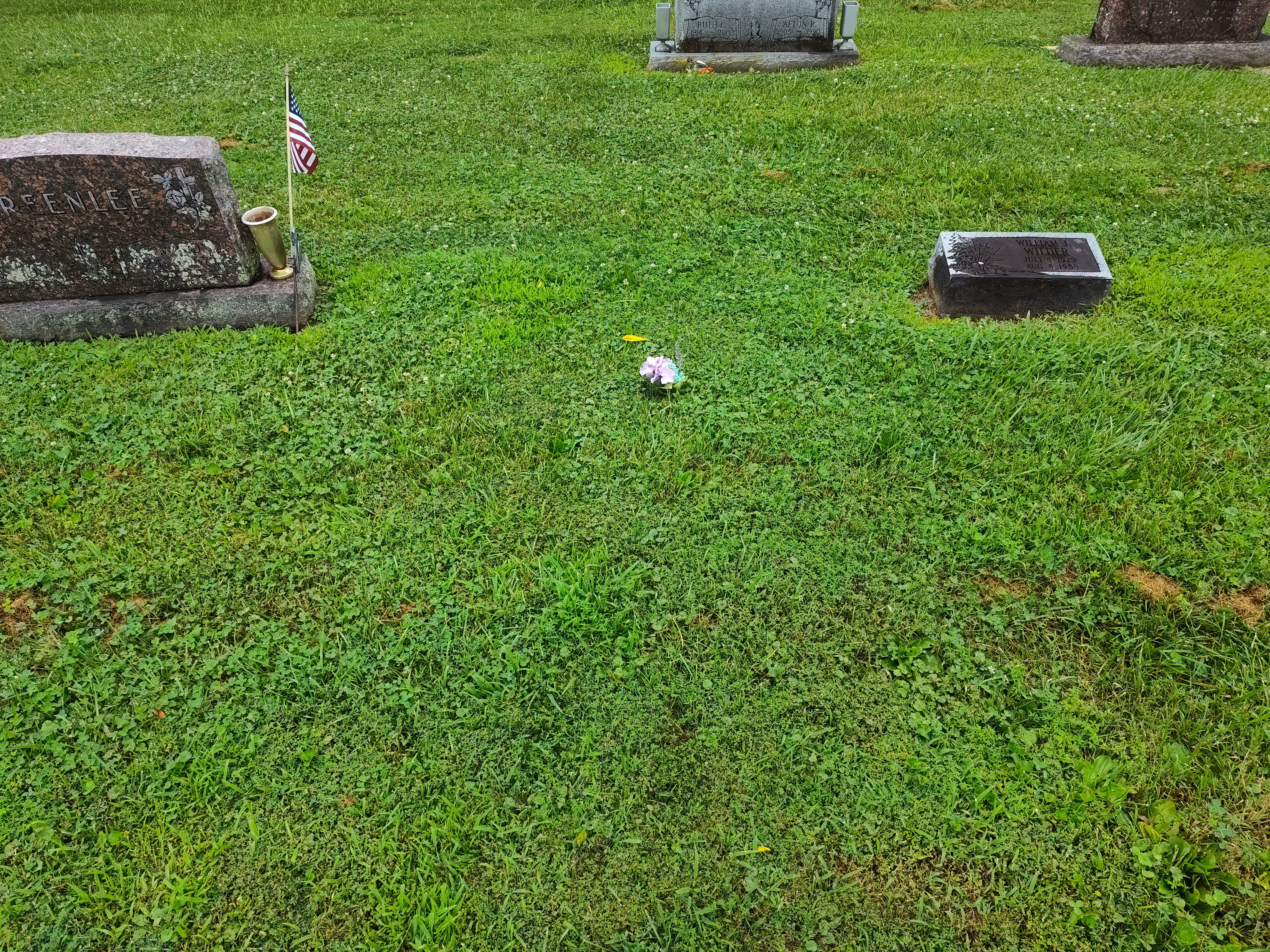Sarah Johnson  Help Give David a Tombstone gofundme donation