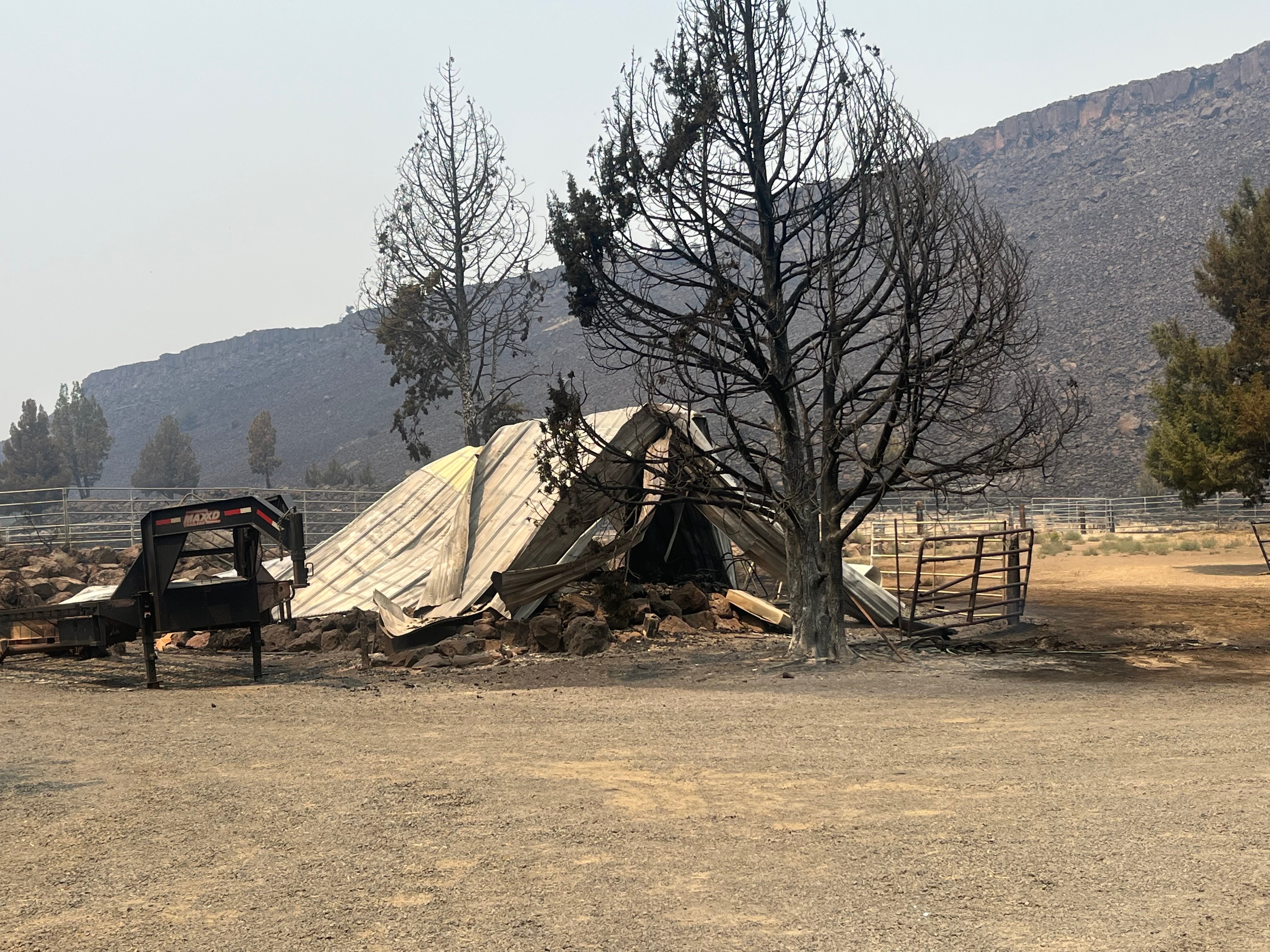 Support Caroline’s Recovery from Wildfire Devastation campaign photo, 2 of 13