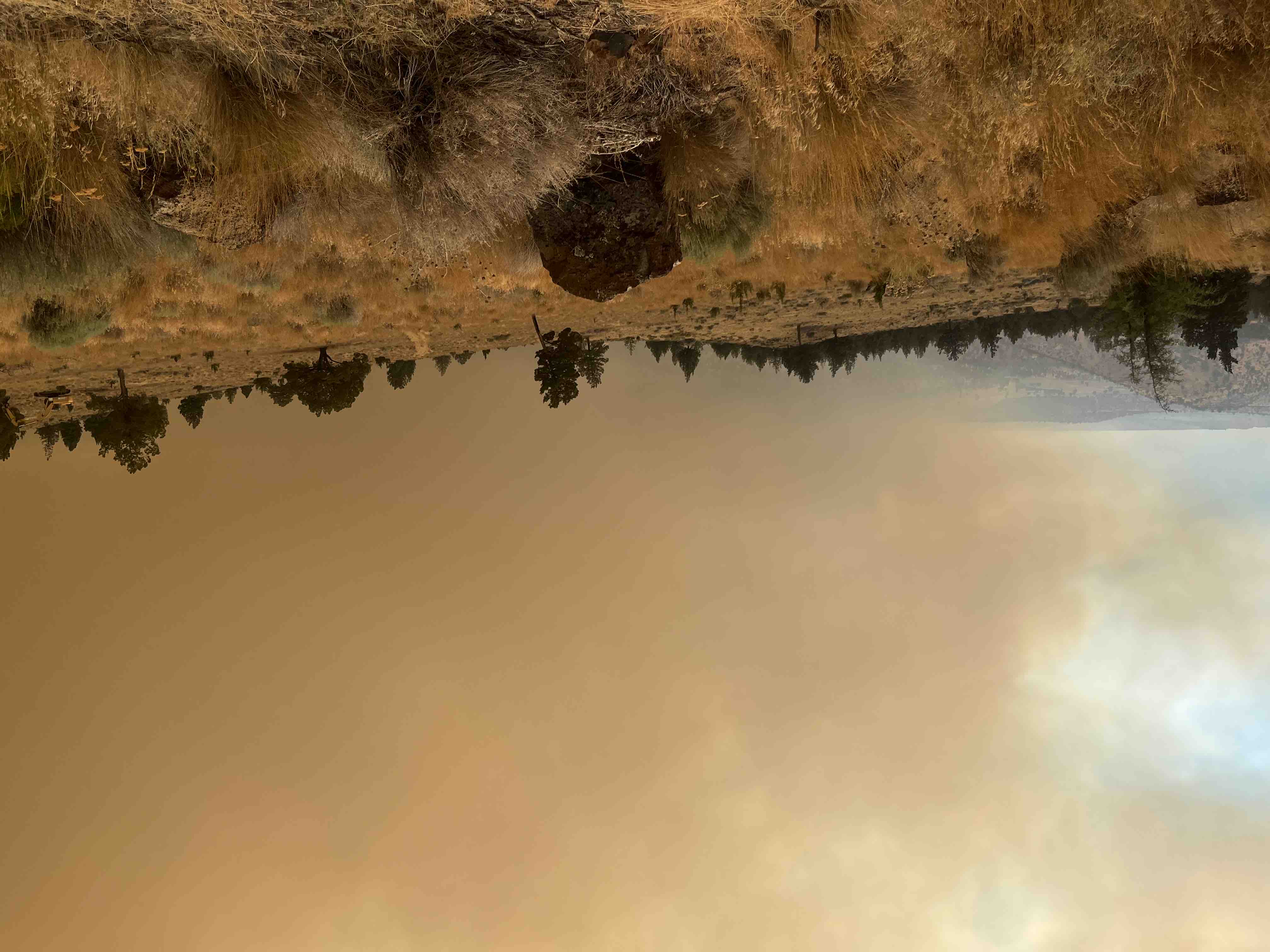 Support Caroline’s Recovery from Wildfire Devastation campaign photo, 7 of 13