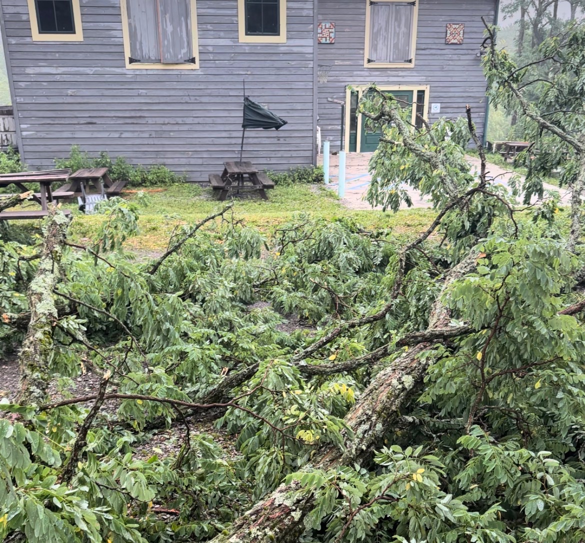 Help Restore Plan Bee Farm Brewery After Storm campaign photo, 4 of 7