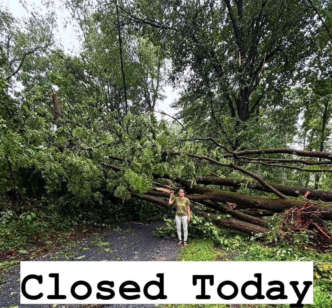 Help Restore Plan Bee Farm Brewery After Storm campaign photo, 2 of 7
