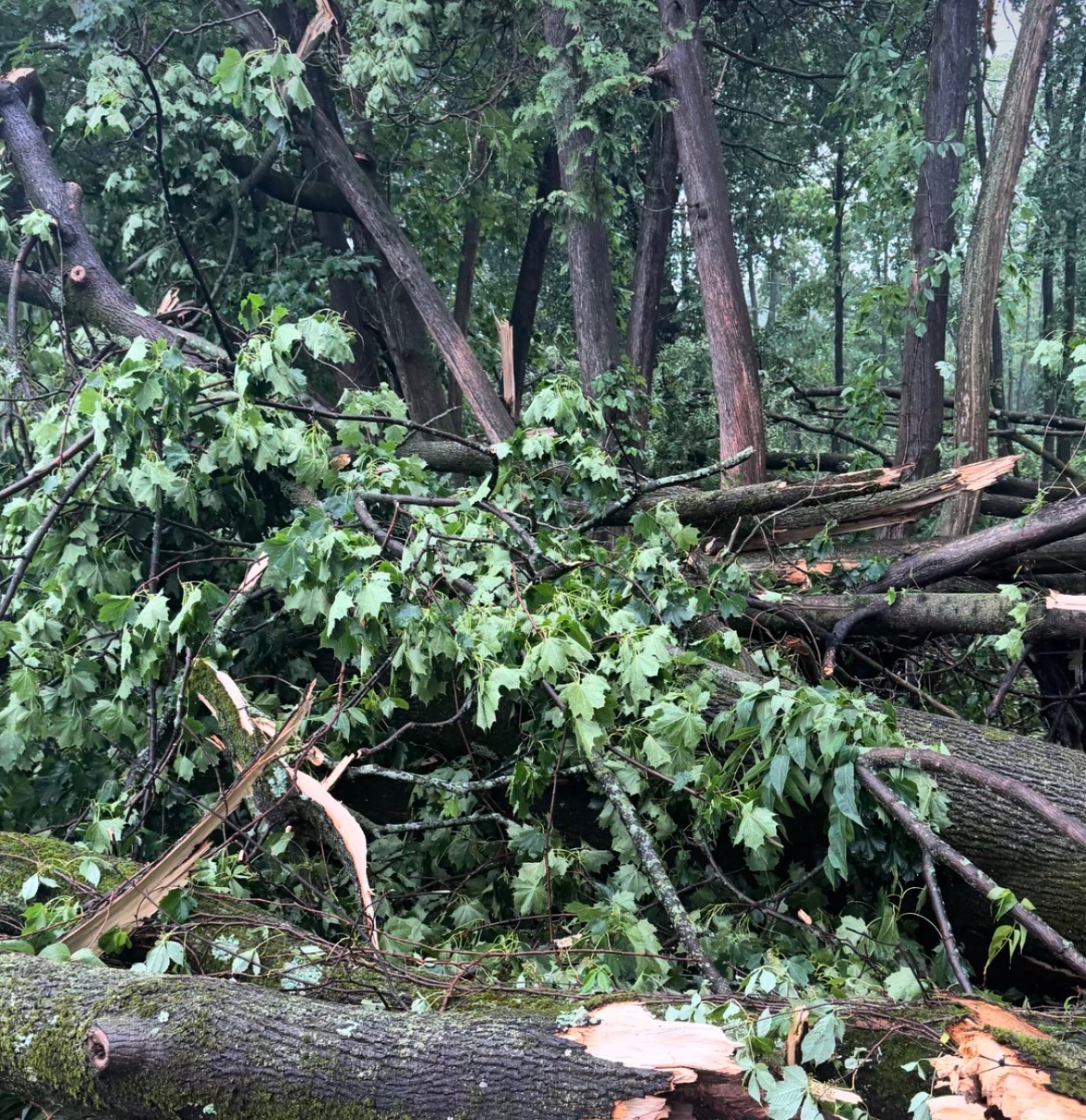 Help Restore Plan Bee Farm Brewery After Storm campaign photo, 5 of 7