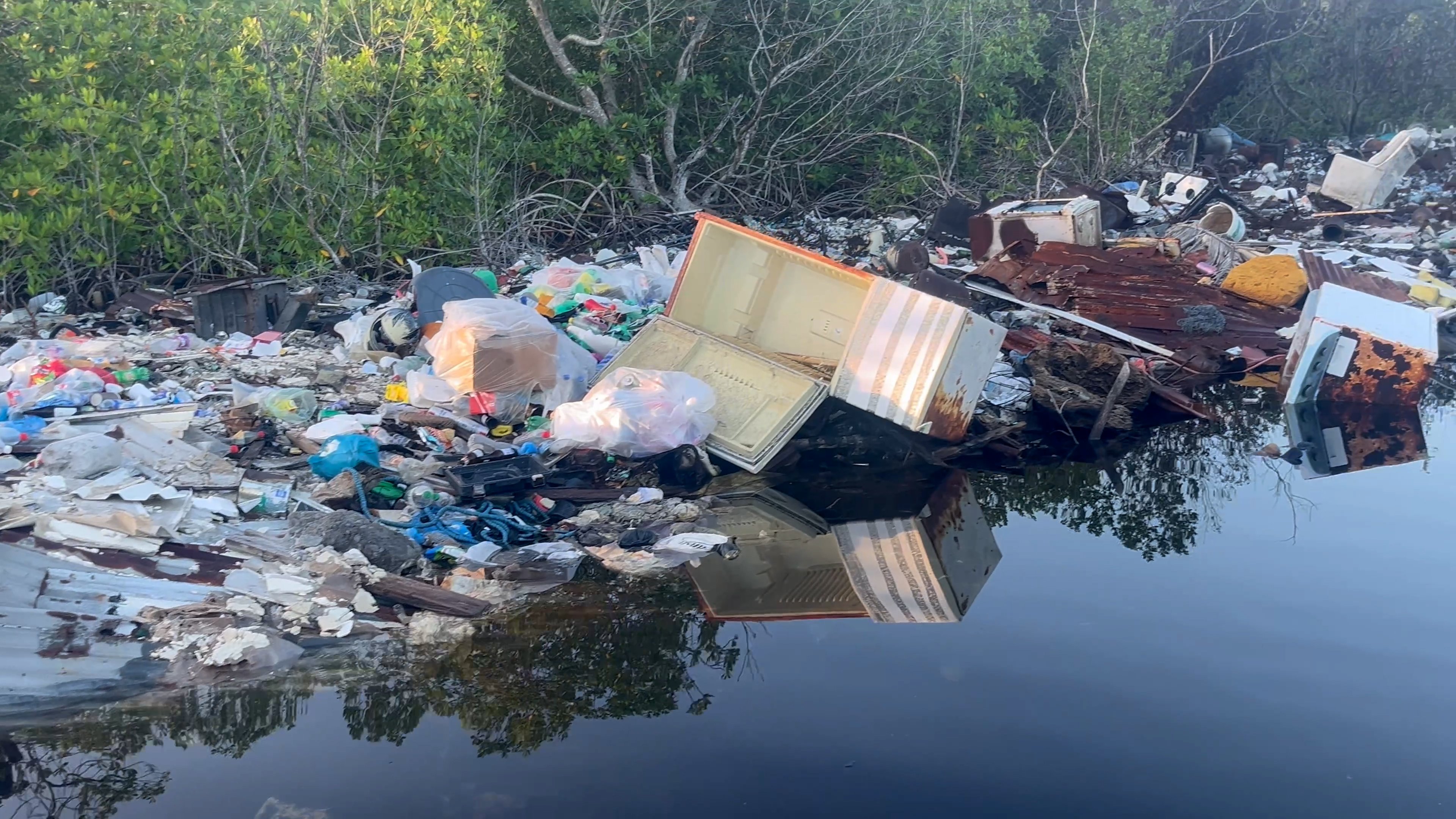A Dot in the Ocean - The Utila Project. campaign photo, 5 of 8