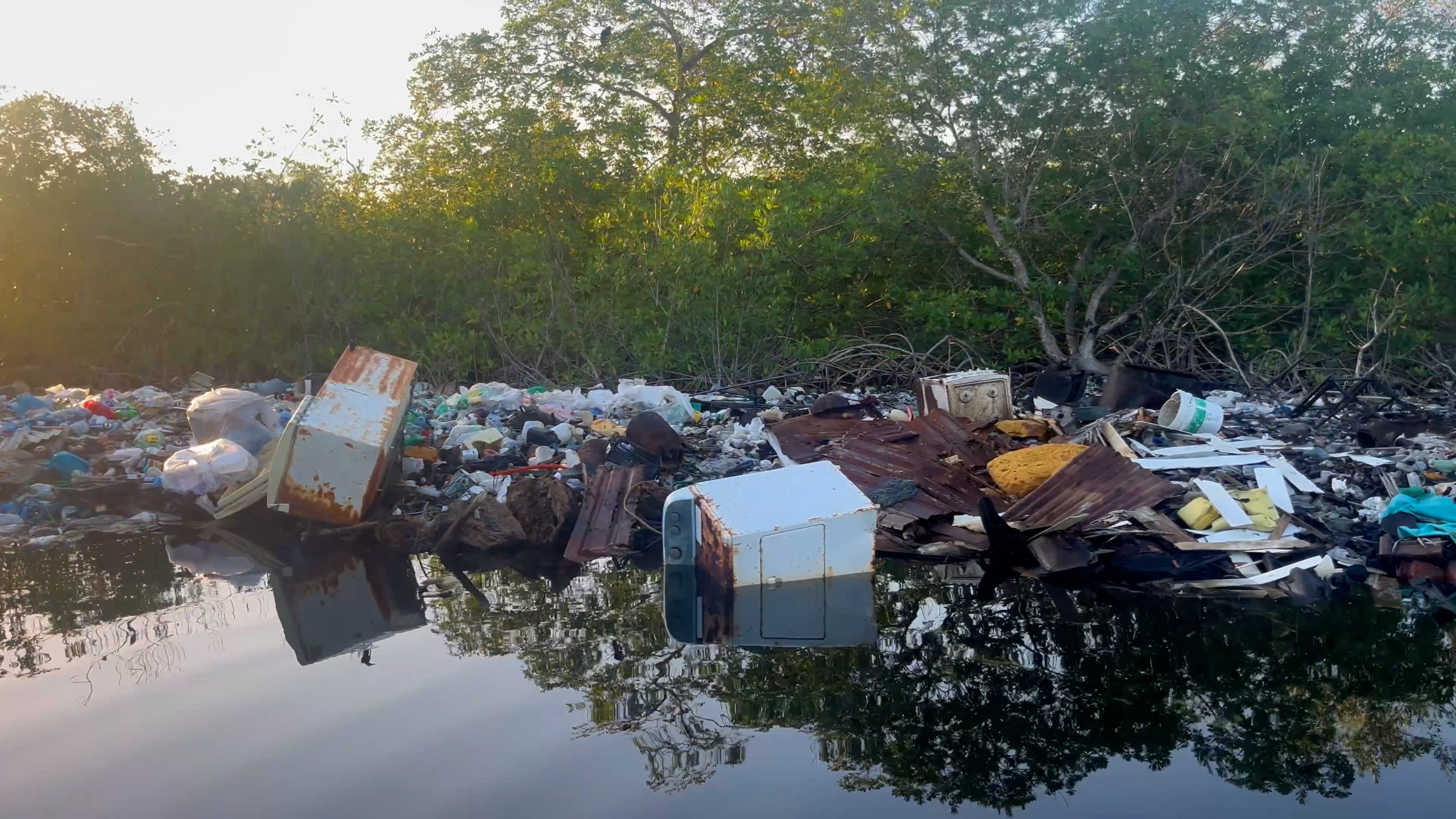 A Dot in the Ocean - The Utila Project. campaign photo, 6 of 8