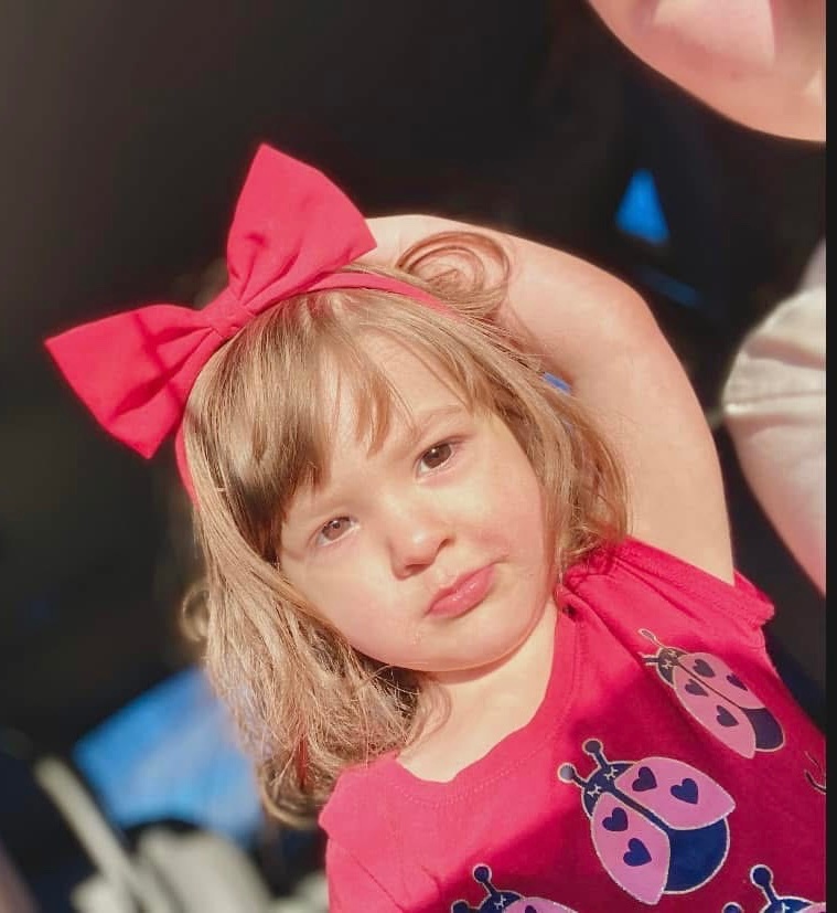 Honoring Kylie and Supporting Karli and Levi’s Recovery campaign photo, 2 of 5