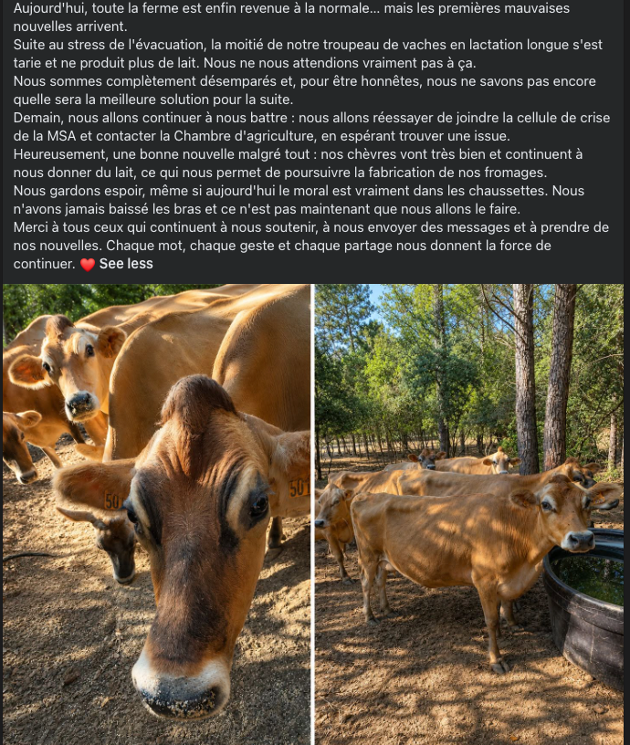 Photo de la campagne La Ferme du Bessillon a besoin de vous suite au feu, 2 sur 4
