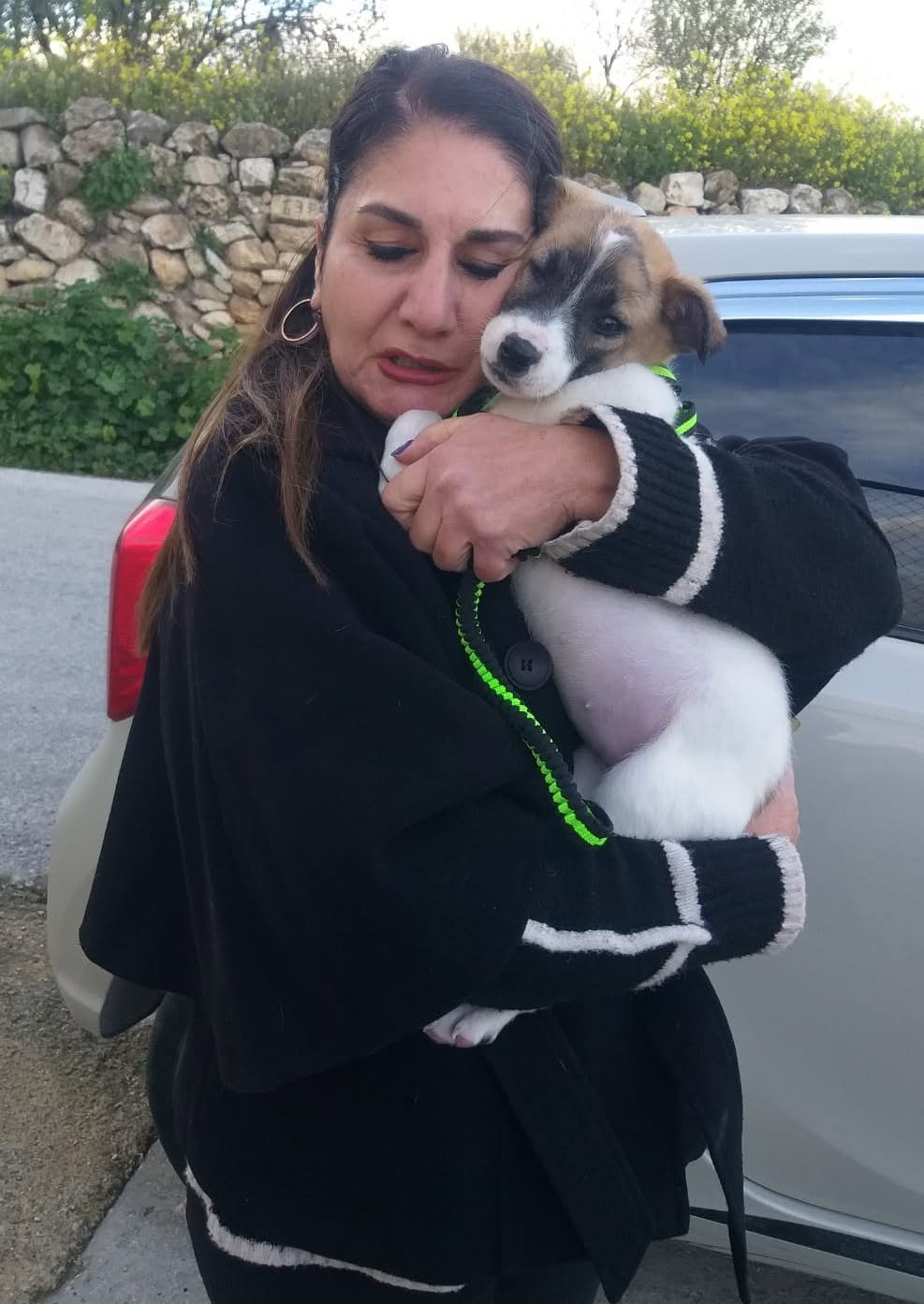 Save the Only Animal Shelter in the West Bank campaign photo, 2 of 8