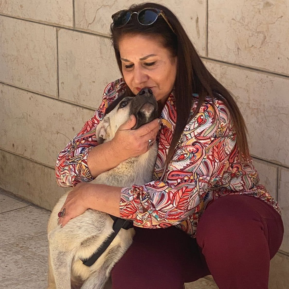 Save the Only Animal Shelter in the West Bank campaign photo, 5 of 8