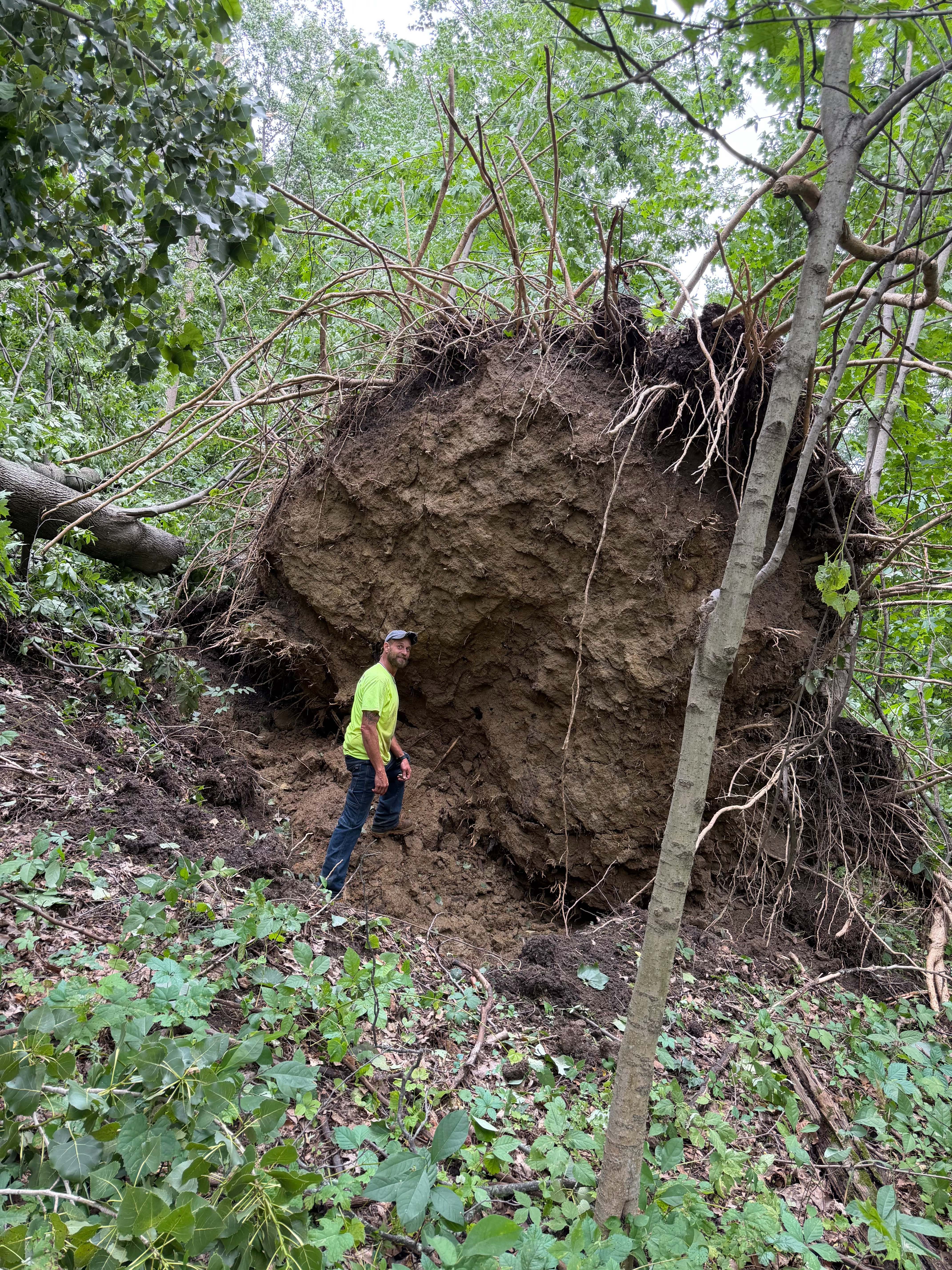 Help Restore and Protect Coffee Creek Preserve campaign photo, 5 of 8