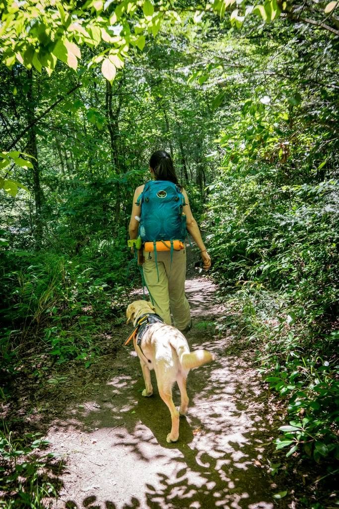 In honor of Aspen, let's help shelter dogs in Gwinnett! campaign photo, 6 of 7
