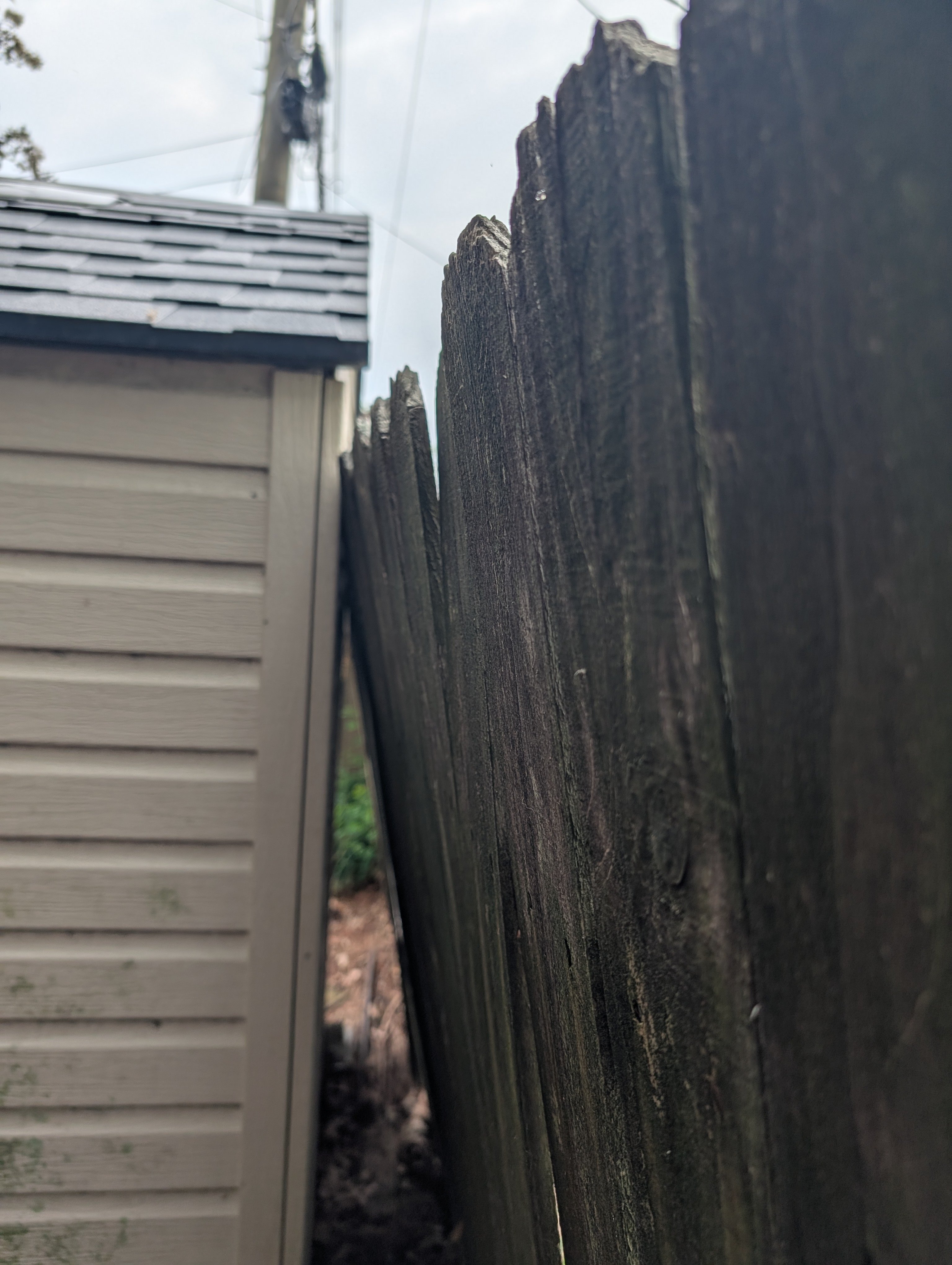 Help Maria Repair Her Fence for Safety campaign photo, 5 of 6