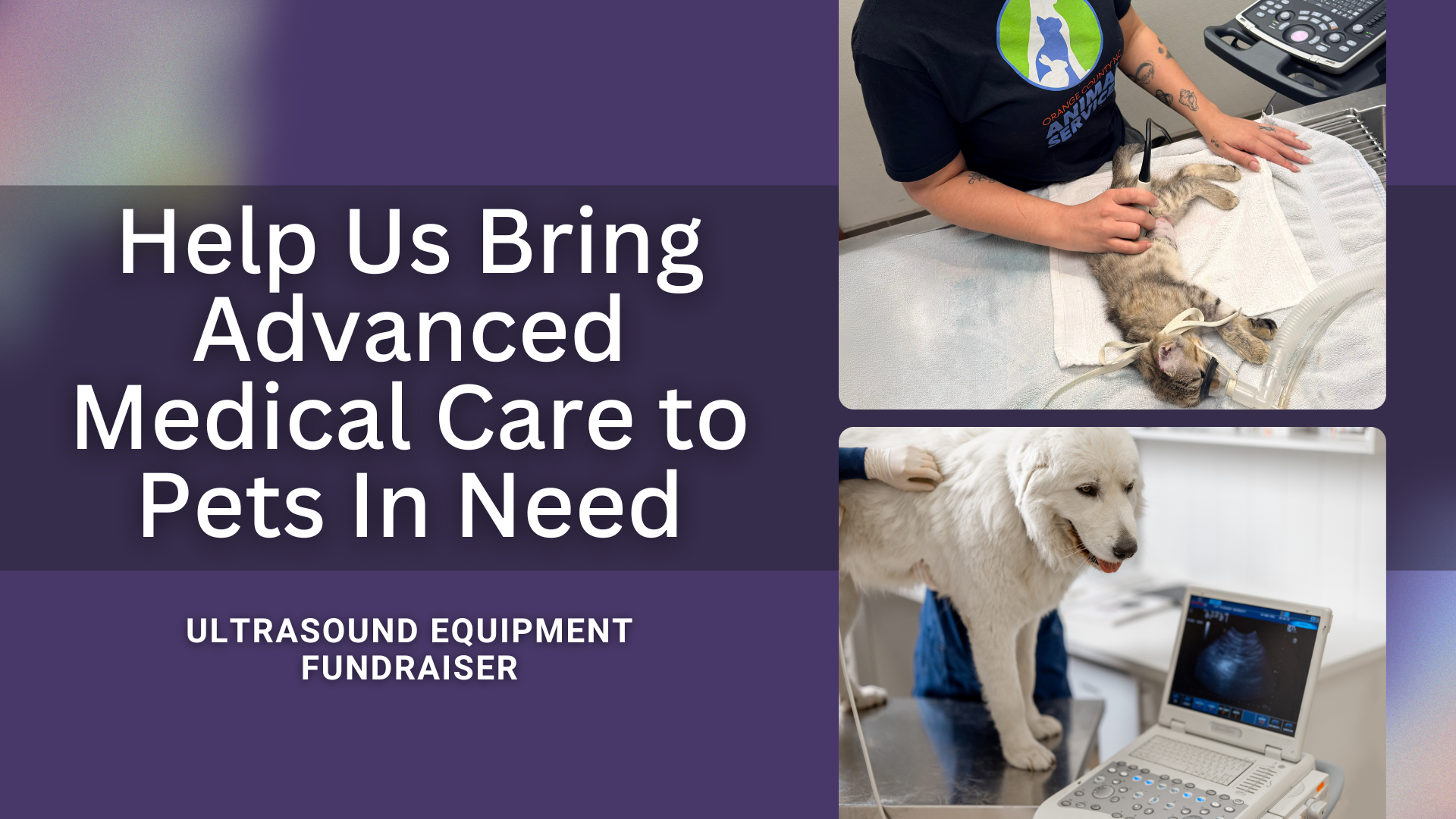 Help Us Bring Advanced Medical Care To Pets campaign photo, 4 of 5