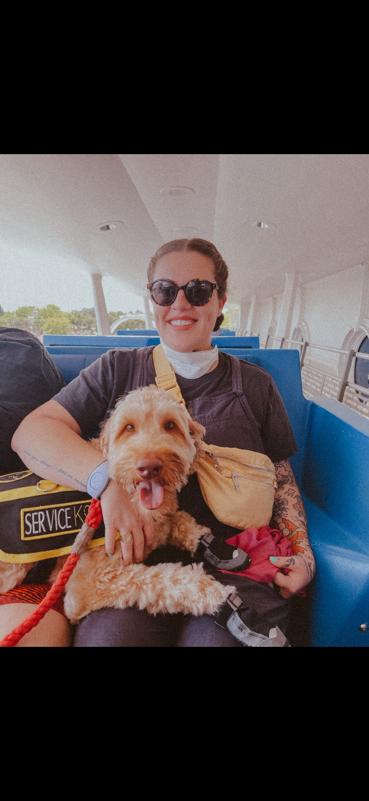Help Taplan Prepare for a New Service Dog campaign photo, 6 of 7