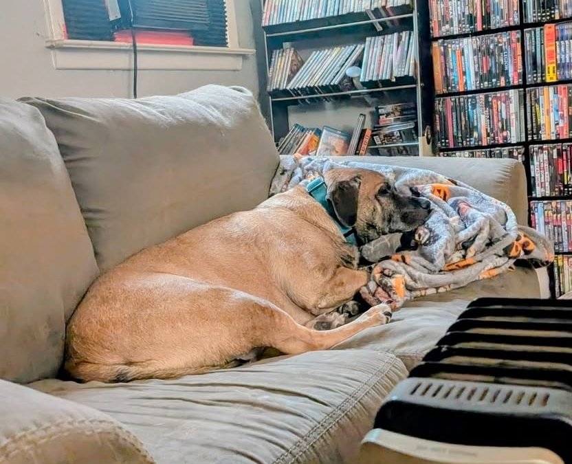 Help Bruce Recover After House Fire campaign photo, 4 of 12