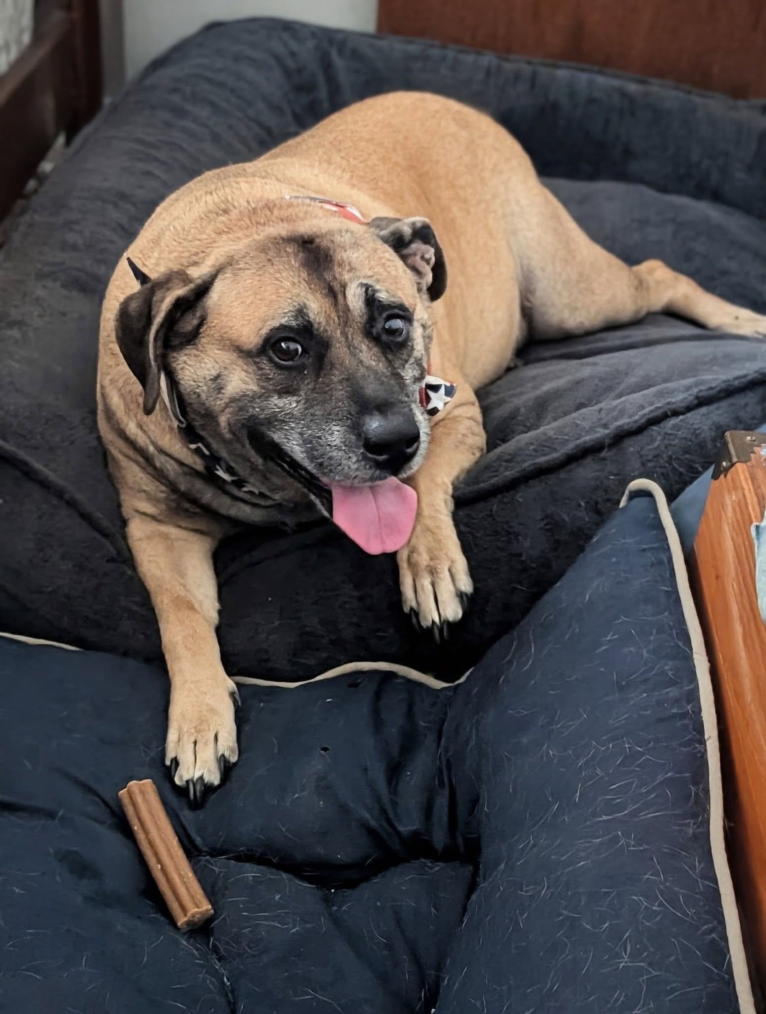 Help Bruce Recover After House Fire campaign photo, 11 of 12