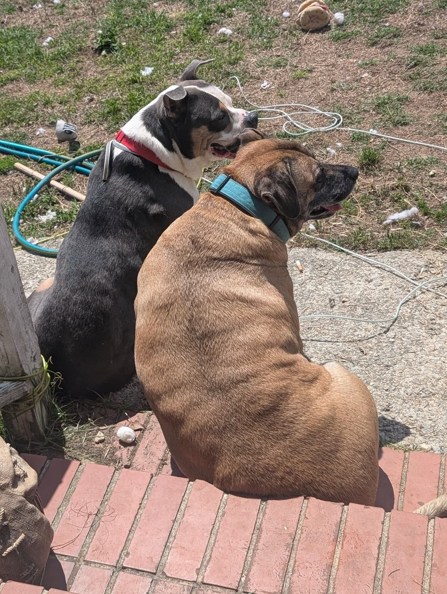 Help Bruce Recover After House Fire campaign photo, 5 of 12