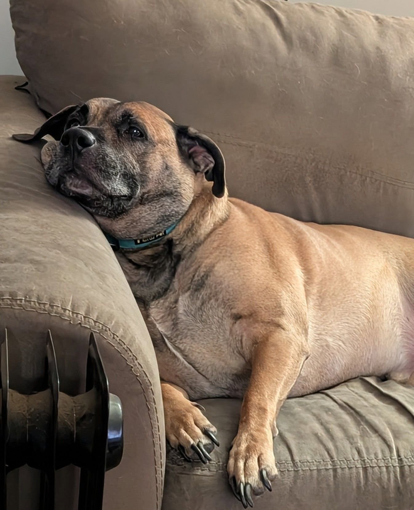 Help Bruce Recover After House Fire campaign photo, 6 of 12