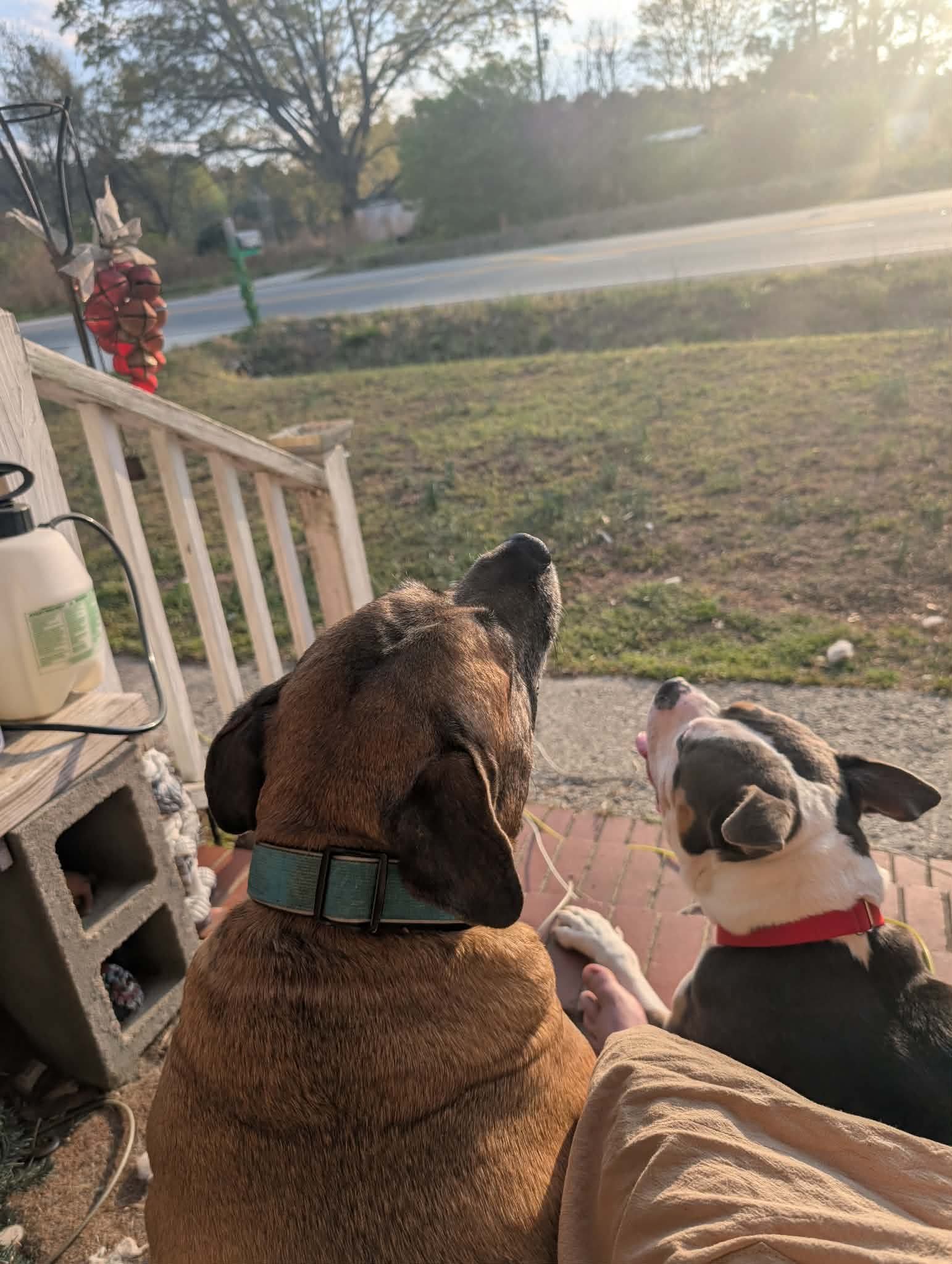 Help Bruce Recover After House Fire campaign photo, 7 of 12
