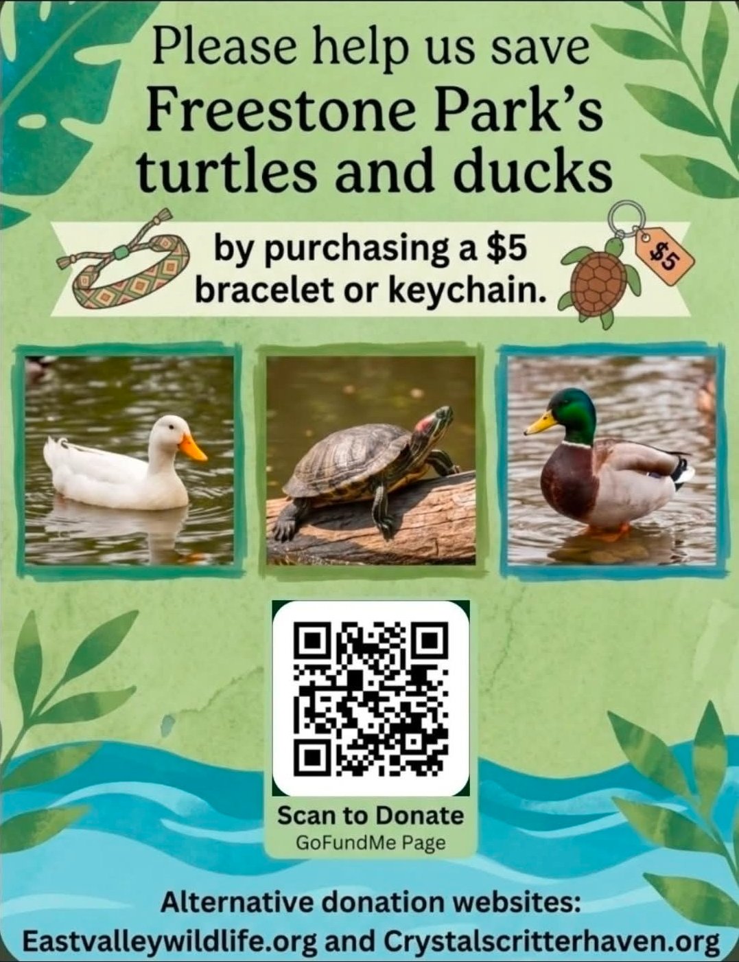 Help Save Freestone Park's Beloved Ducks & Turtles campaign photo, 5 of 8