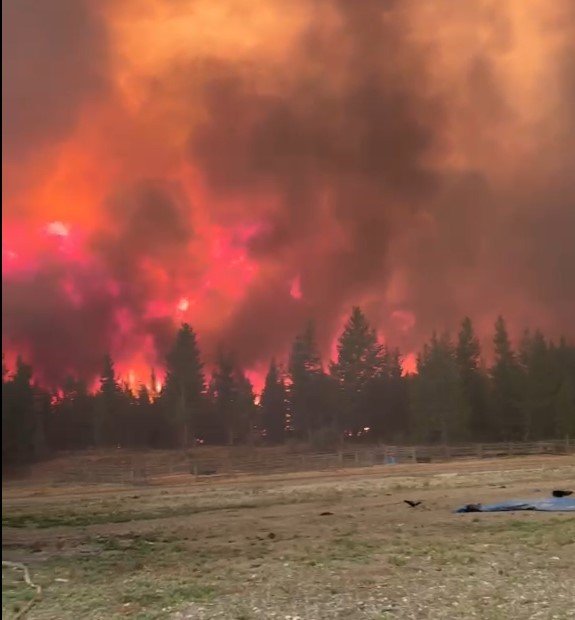 Help Barb Edmonson Rebuild Firefly Ranch After Clinton Fires campaign photo, 2 of 7