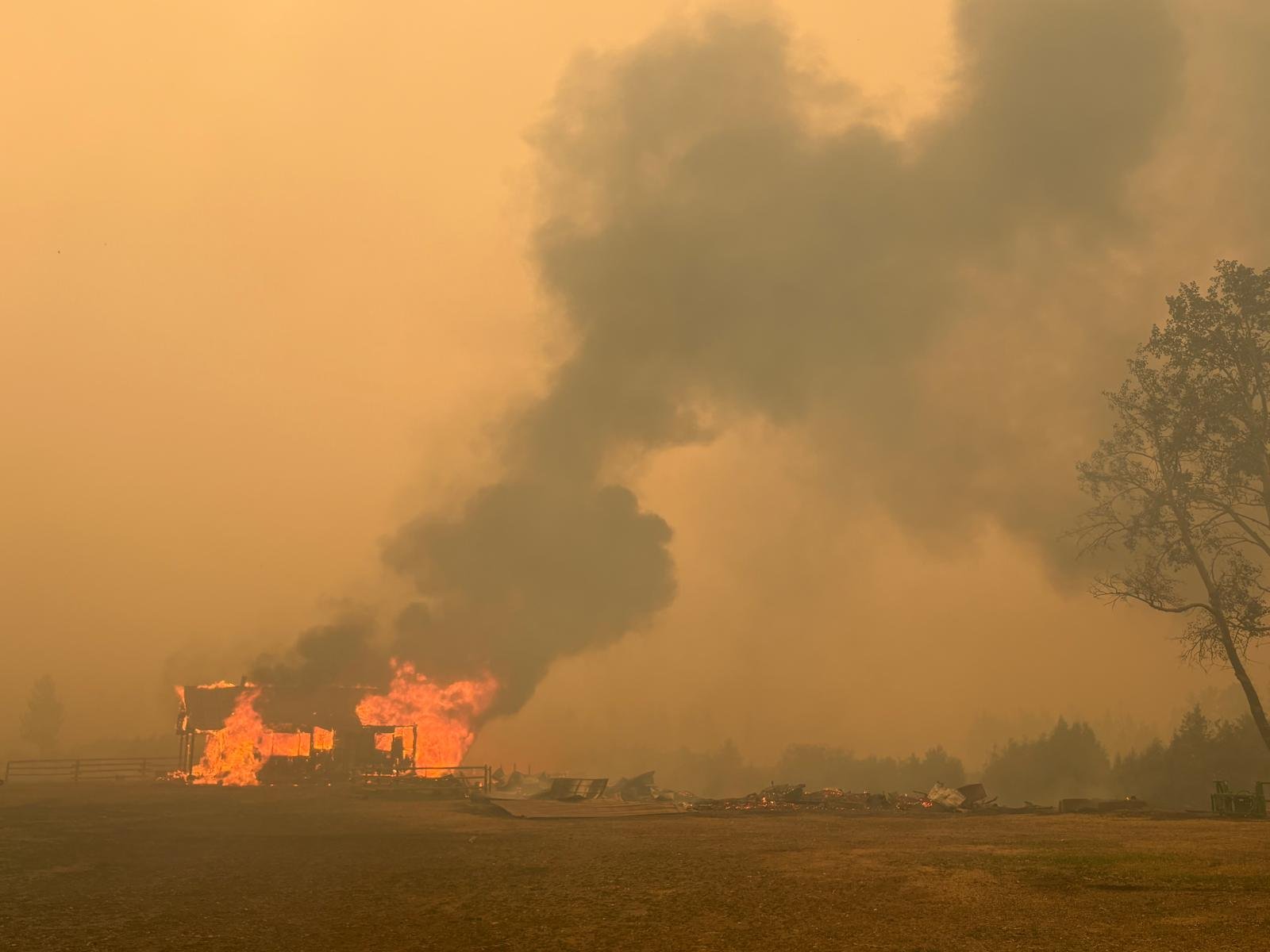 Help Barb Edmonson Rebuild Firefly Ranch After Clinton Fires campaign photo, 4 of 7