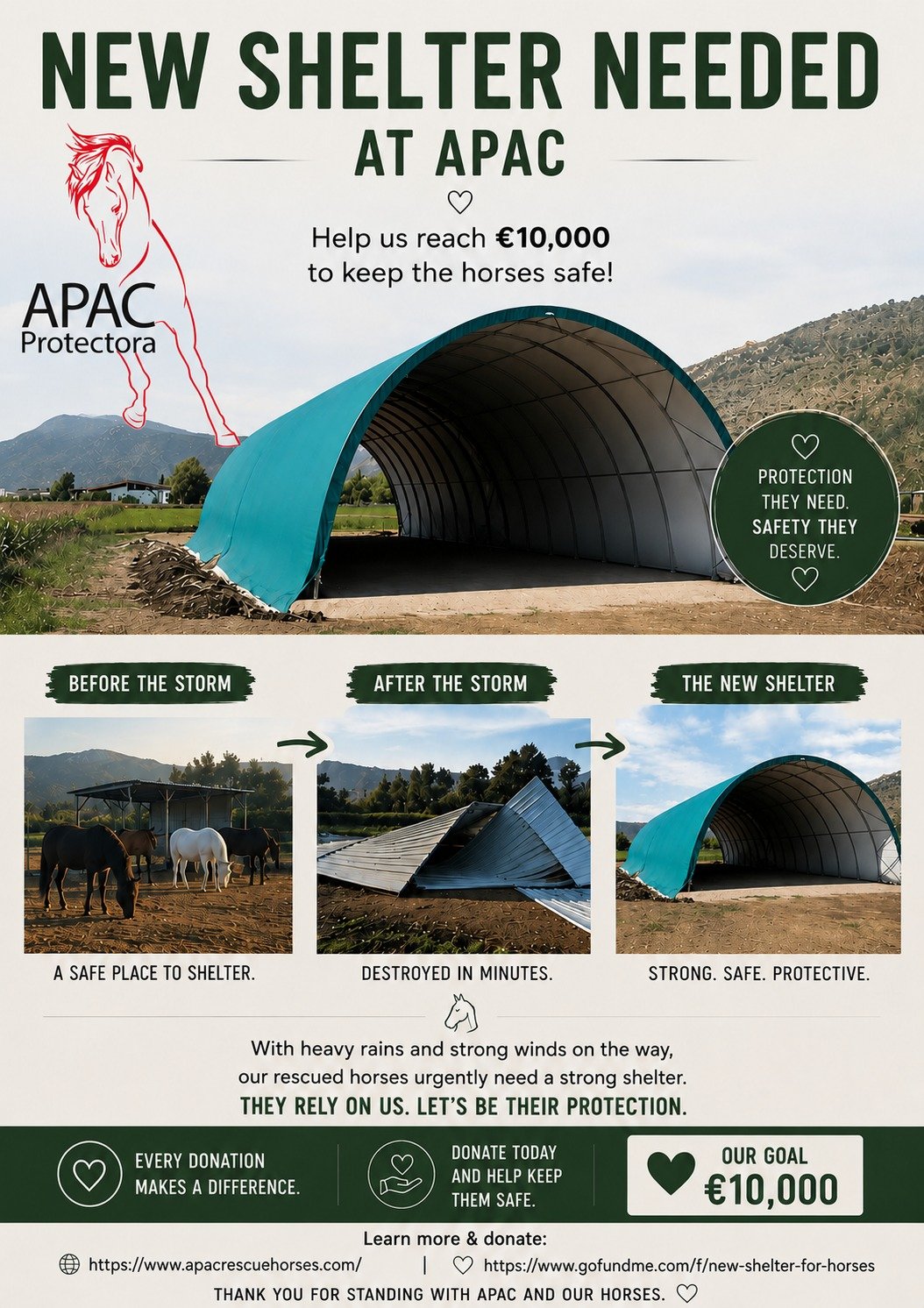 New Shelter for horses campaign photo, 4 of 5