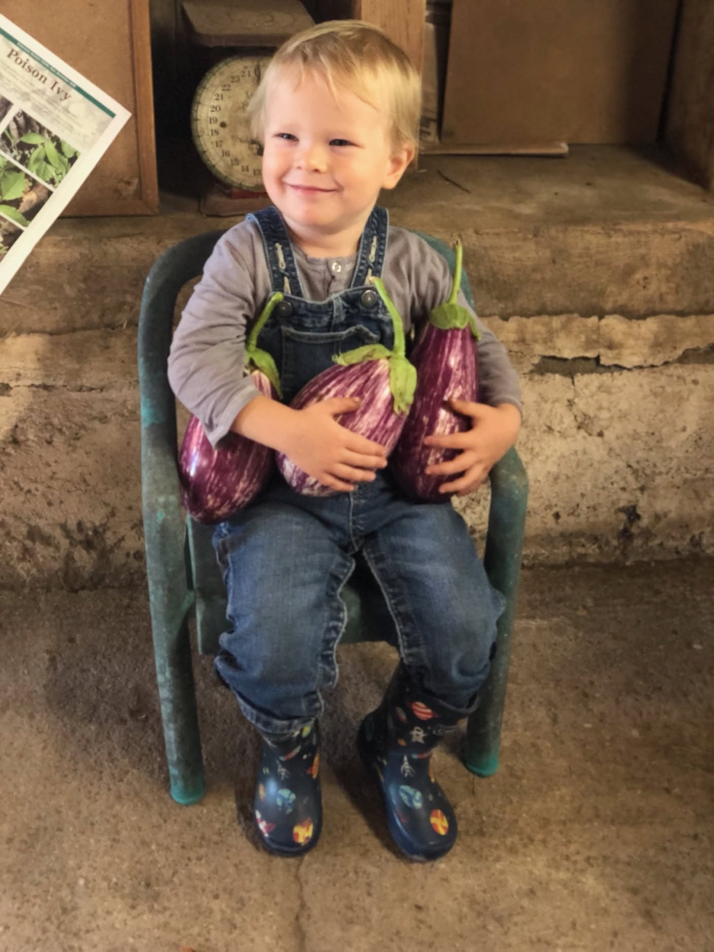 Help Community Farm Survive and Build a Sustainable Future campaign photo, 6 of 8