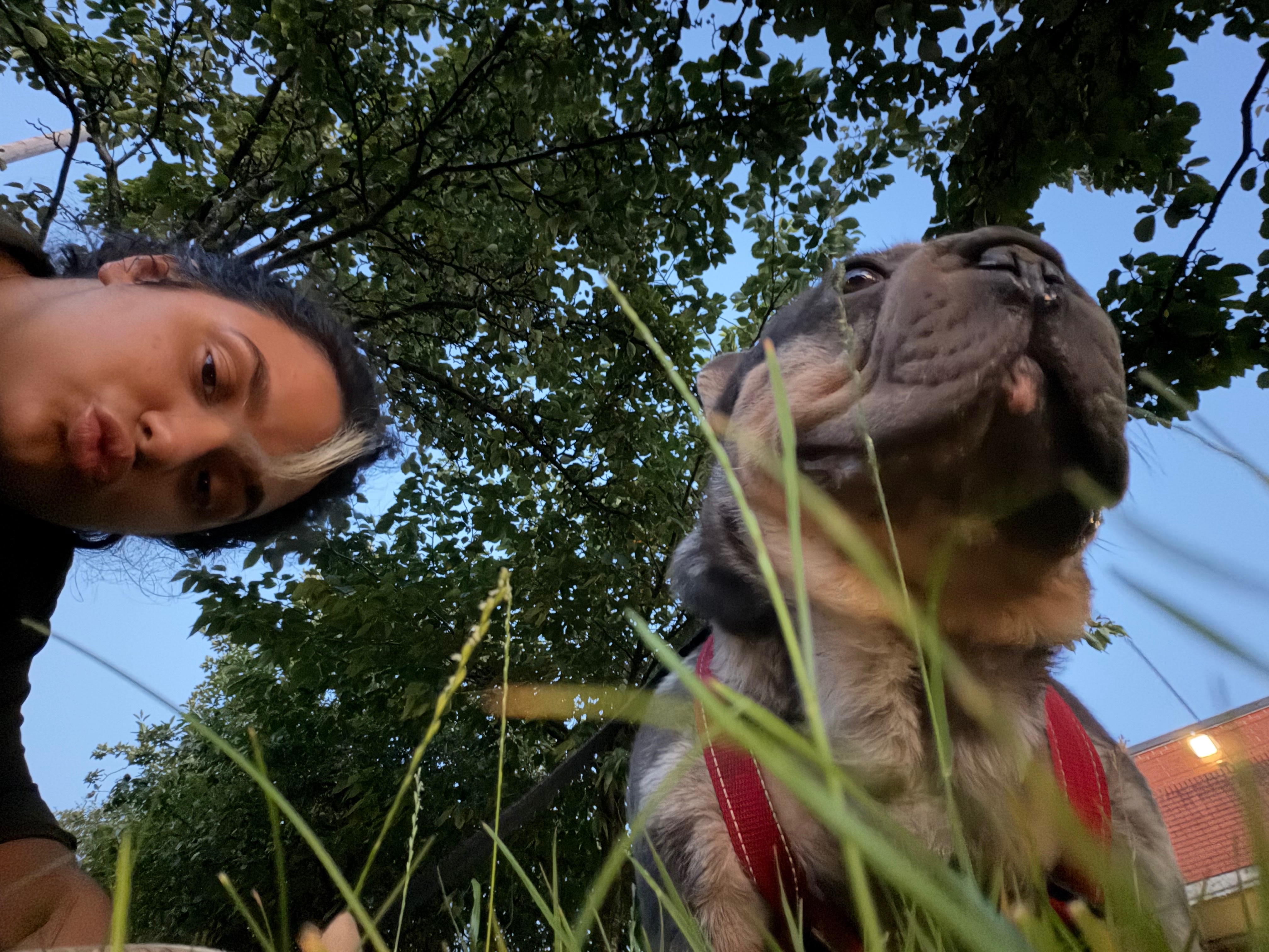 Help Our Adopted Boy Milo Breathe and Live the Life He Deser campaign photo, 4 of 8