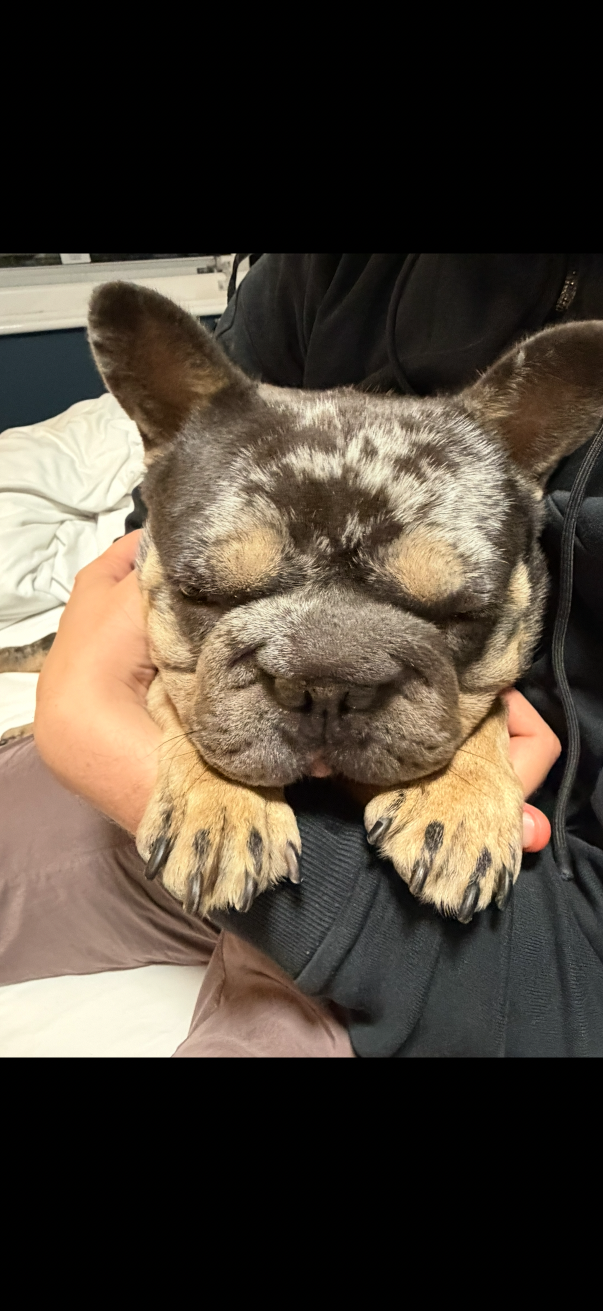 Help Our Adopted Boy Milo Breathe and Live the Life He Deser campaign photo, 5 of 8