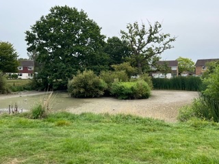 De-Silting our local community pond campaign photo, 7 of 8
