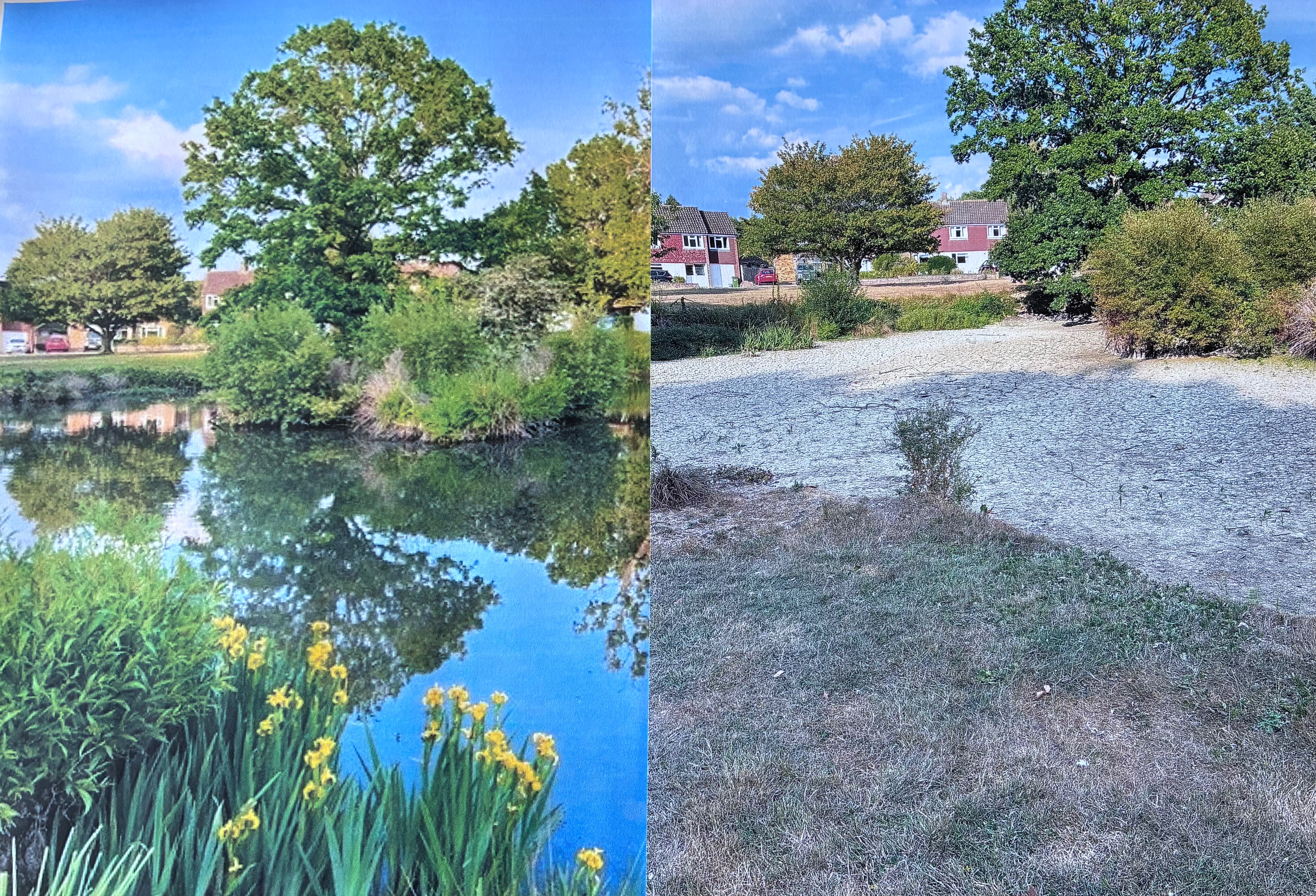 De-Silting our local community pond campaign photo, 6 of 8