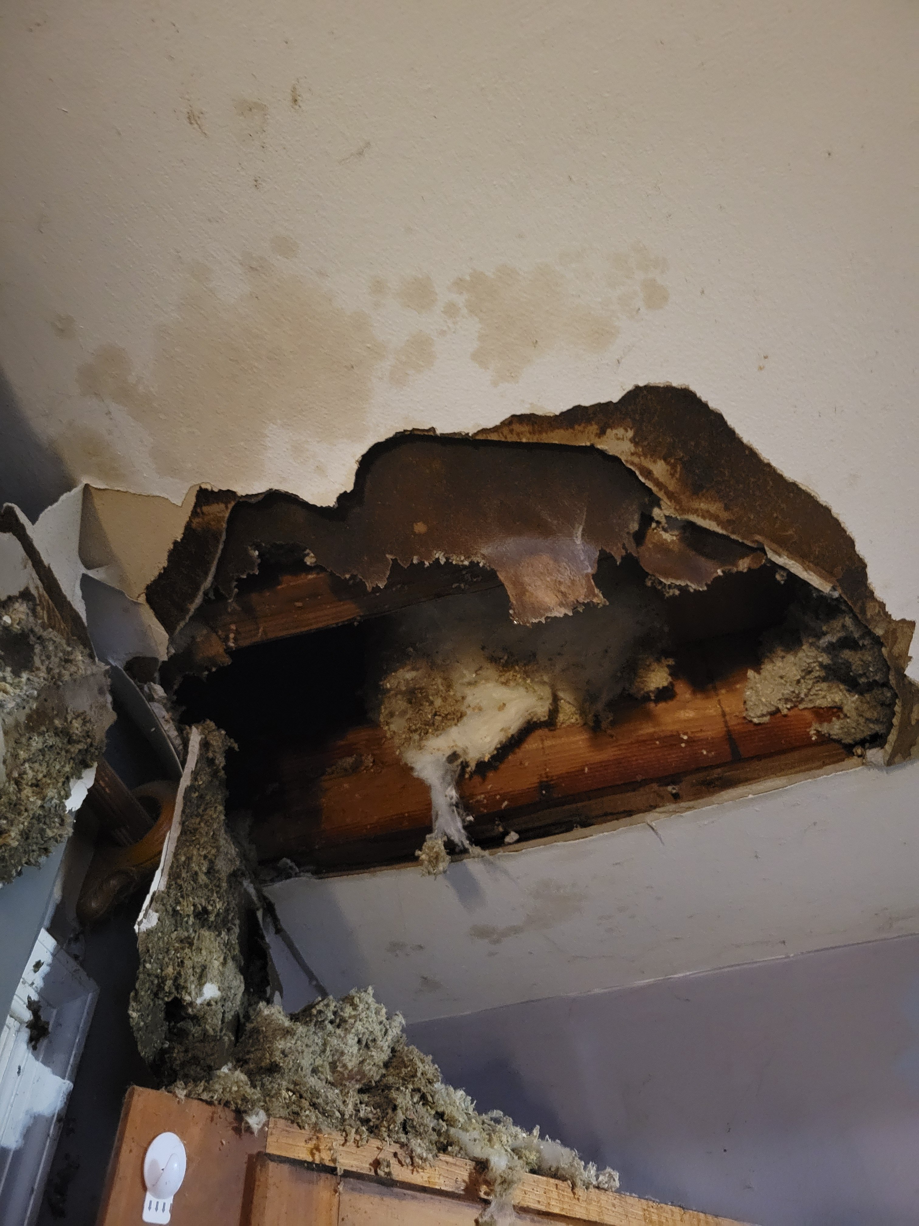 Help Me Replace My Storm-Damaged Roof campaign photo, 2 of 4