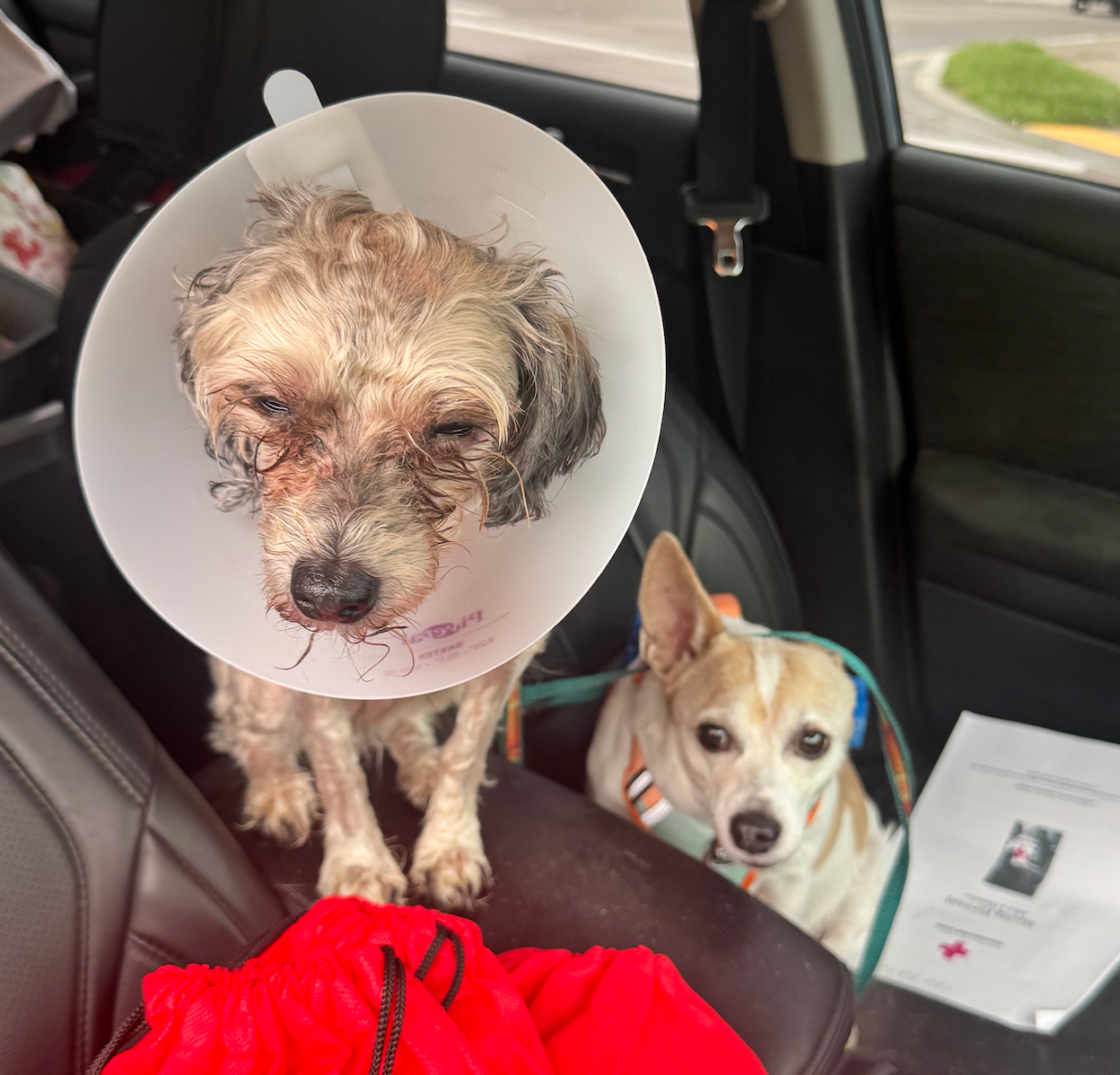 Lightning Struck Our Family Home: Help Us Recover campaign photo, 6 of 7