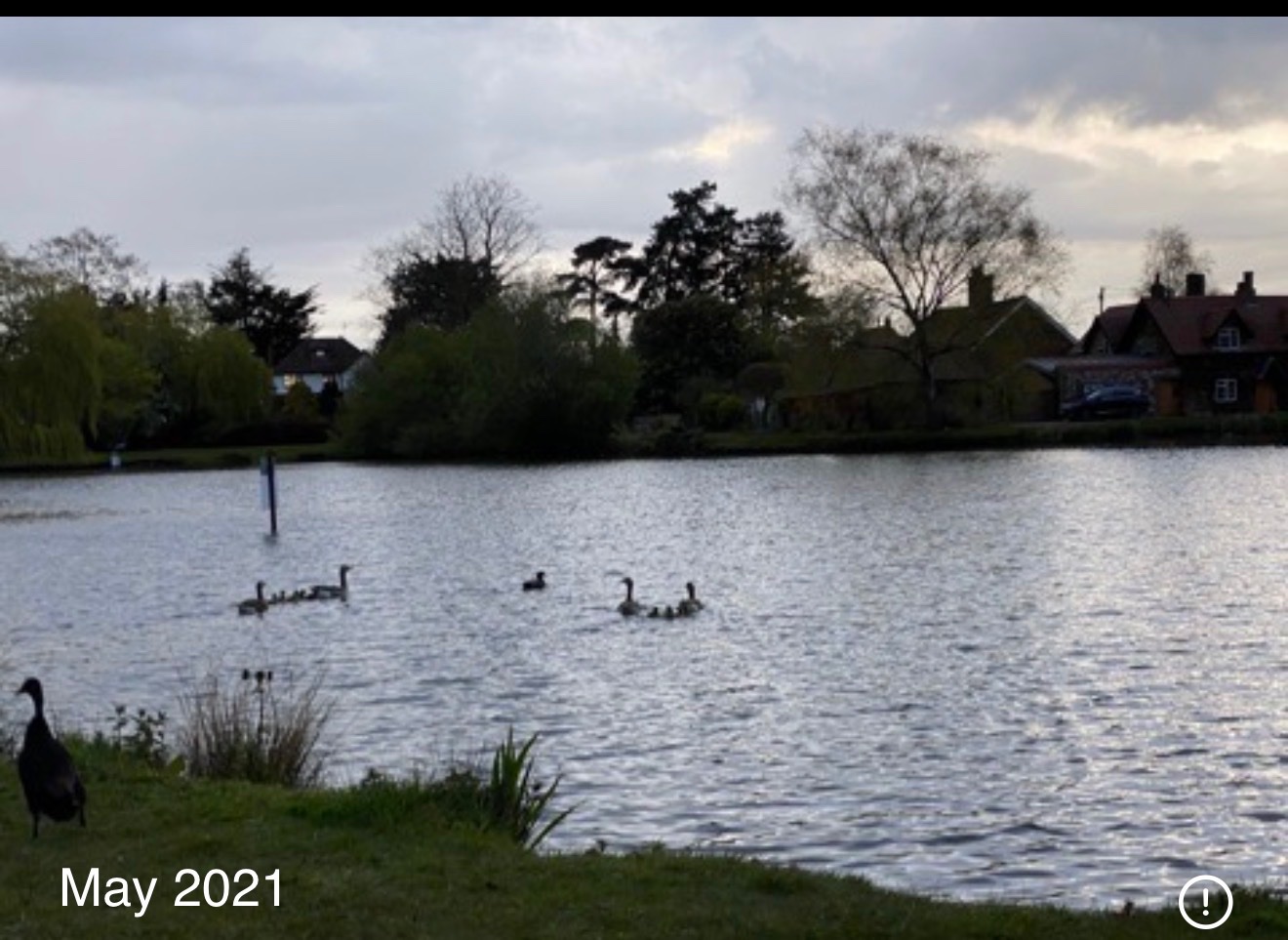 Dredging and Restoring the Scotsman’s Pit, Great Massingham campaign photo, 7 of 8